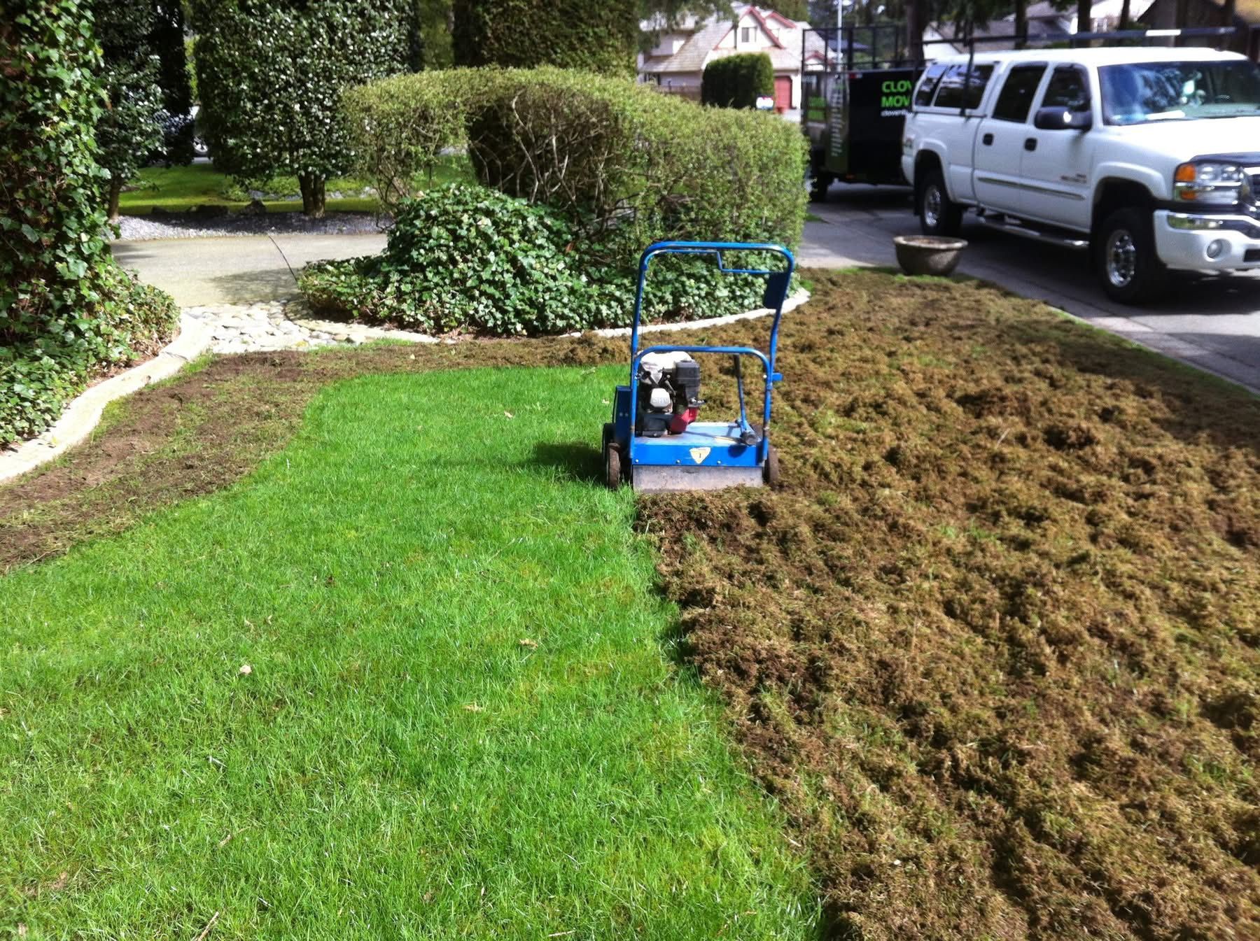 All Photos for Manscaped Lawn Care in Firestone, CO