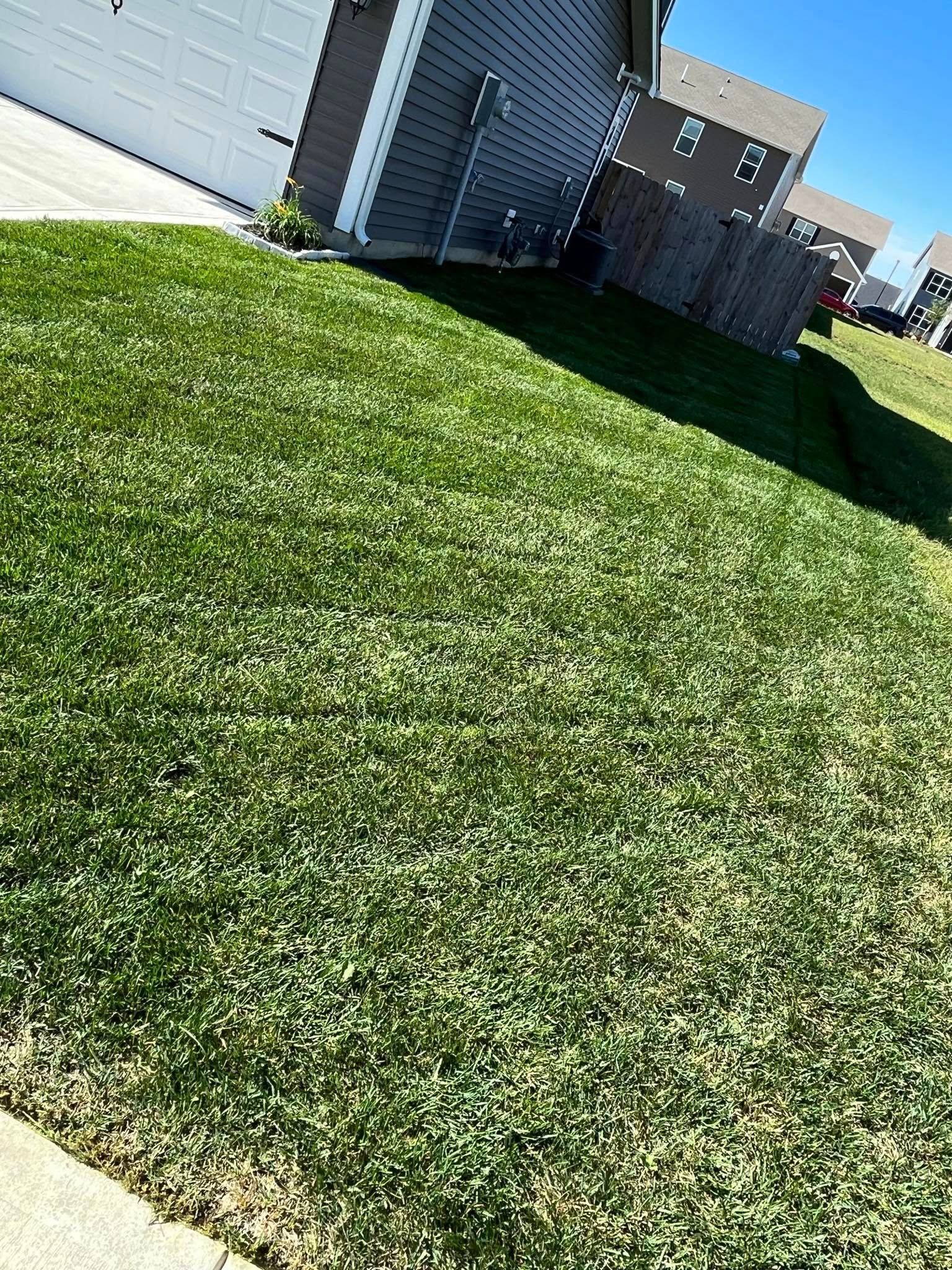 for Plenty Landscaping Solutions in Indianapolis, IN