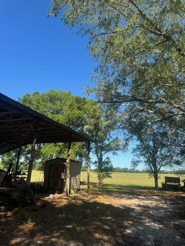  for All Seasons Tree and Land Works in Trenton, FL