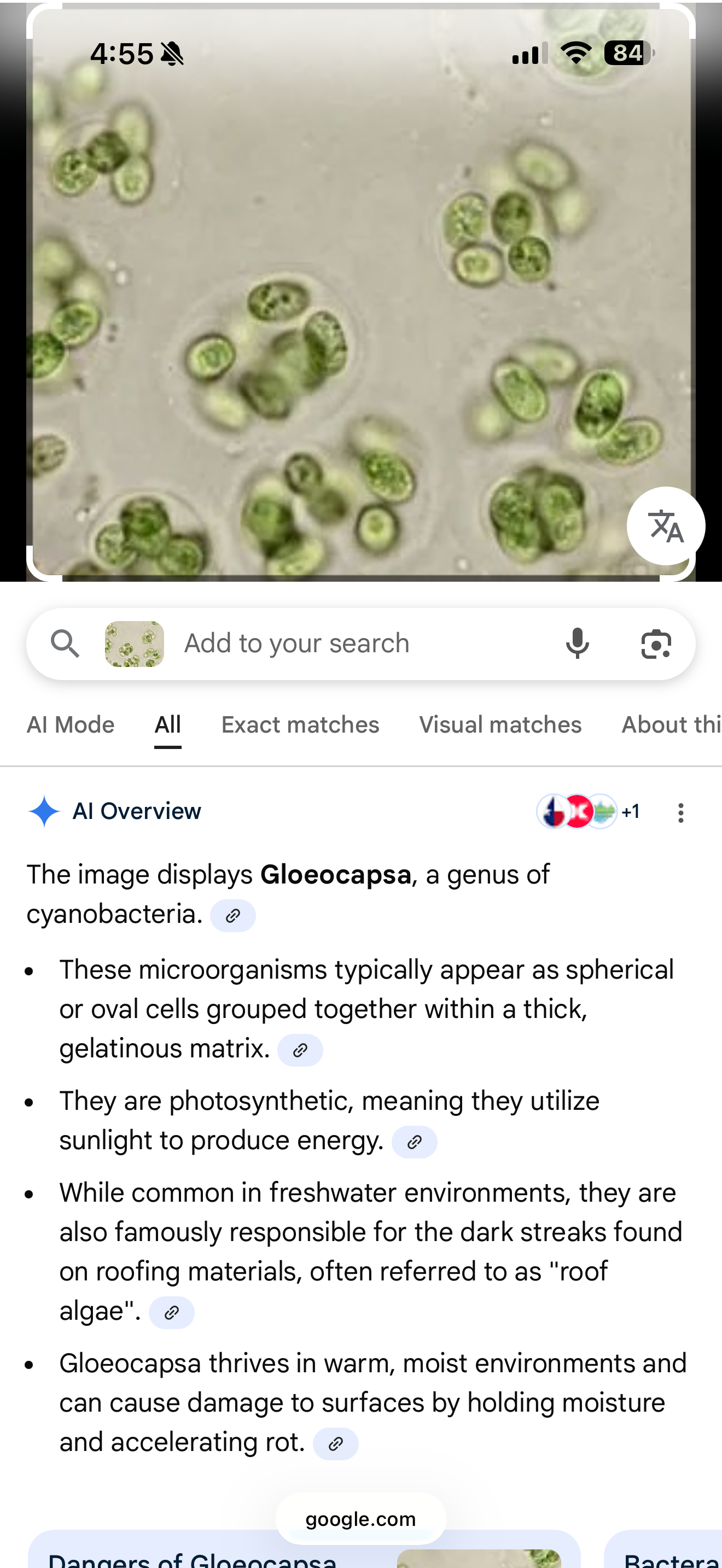  for My Soft Wash Guys in Venice, FL