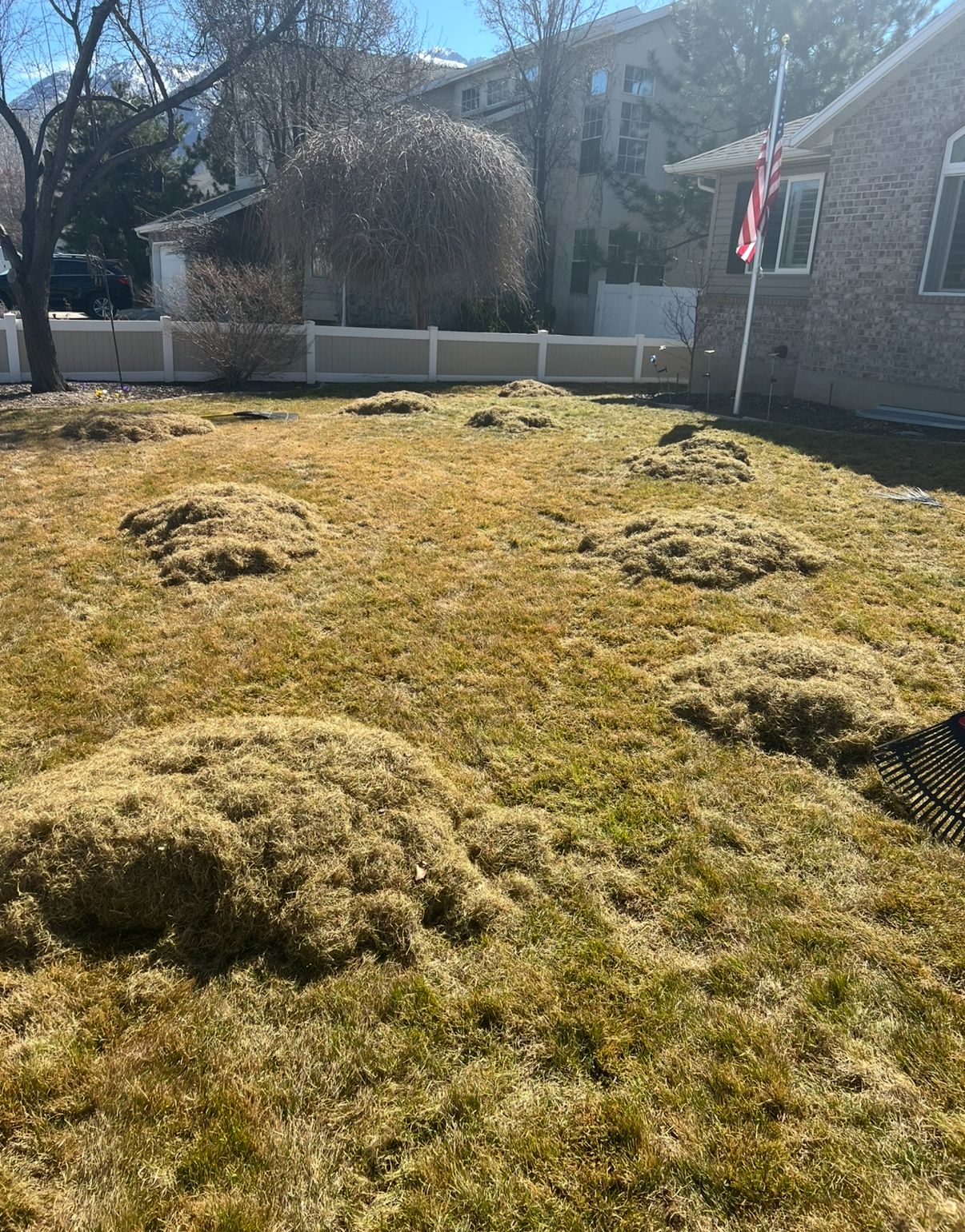  for Platinum Lawn Service in Santaquin, UT