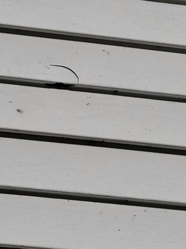  for Integrity Home Improvements & Renovations in Columbia, Tennessee