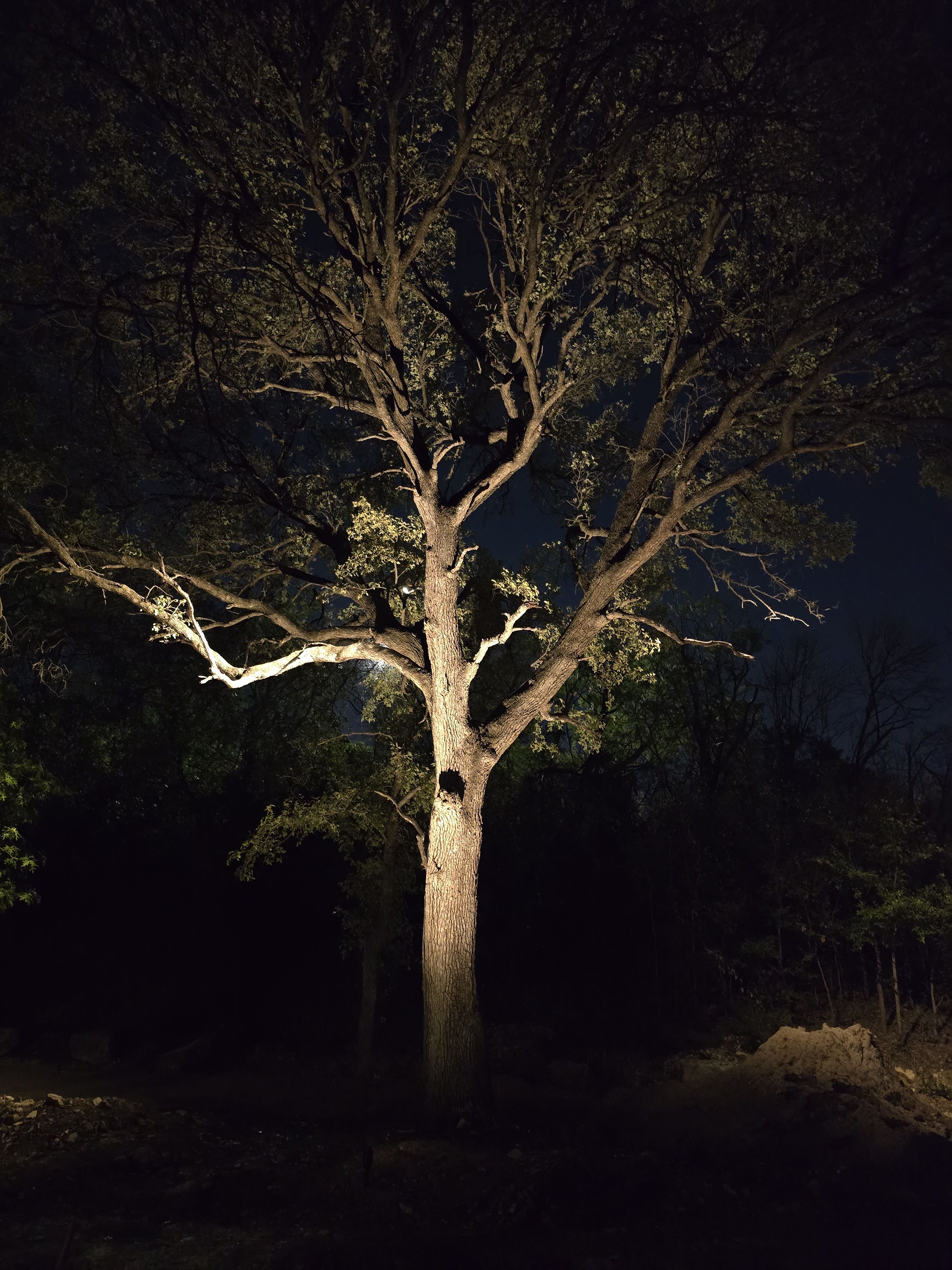  for Green Pastures Lawn Care in Bastrop, TX