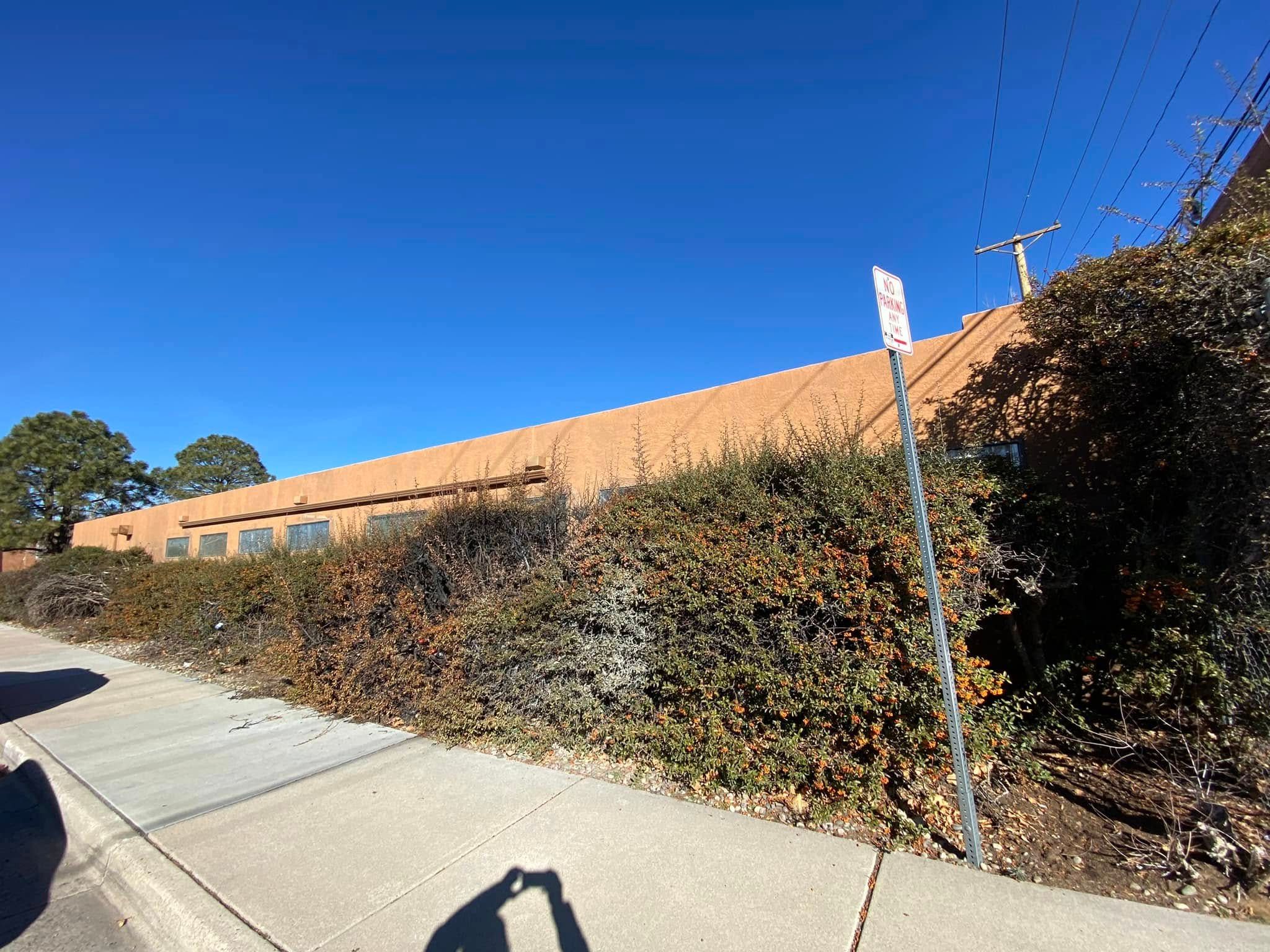 All Photos for Tree Service Miracles in Albuquerque, NM