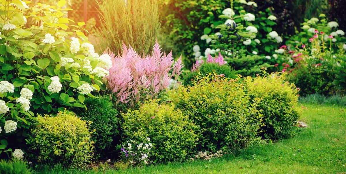 Landscaping for Goat Eater in Forsyth, GA