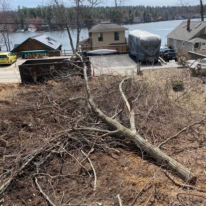 All Photos for Baboosic Tree & Landscape in Merrimack, NH