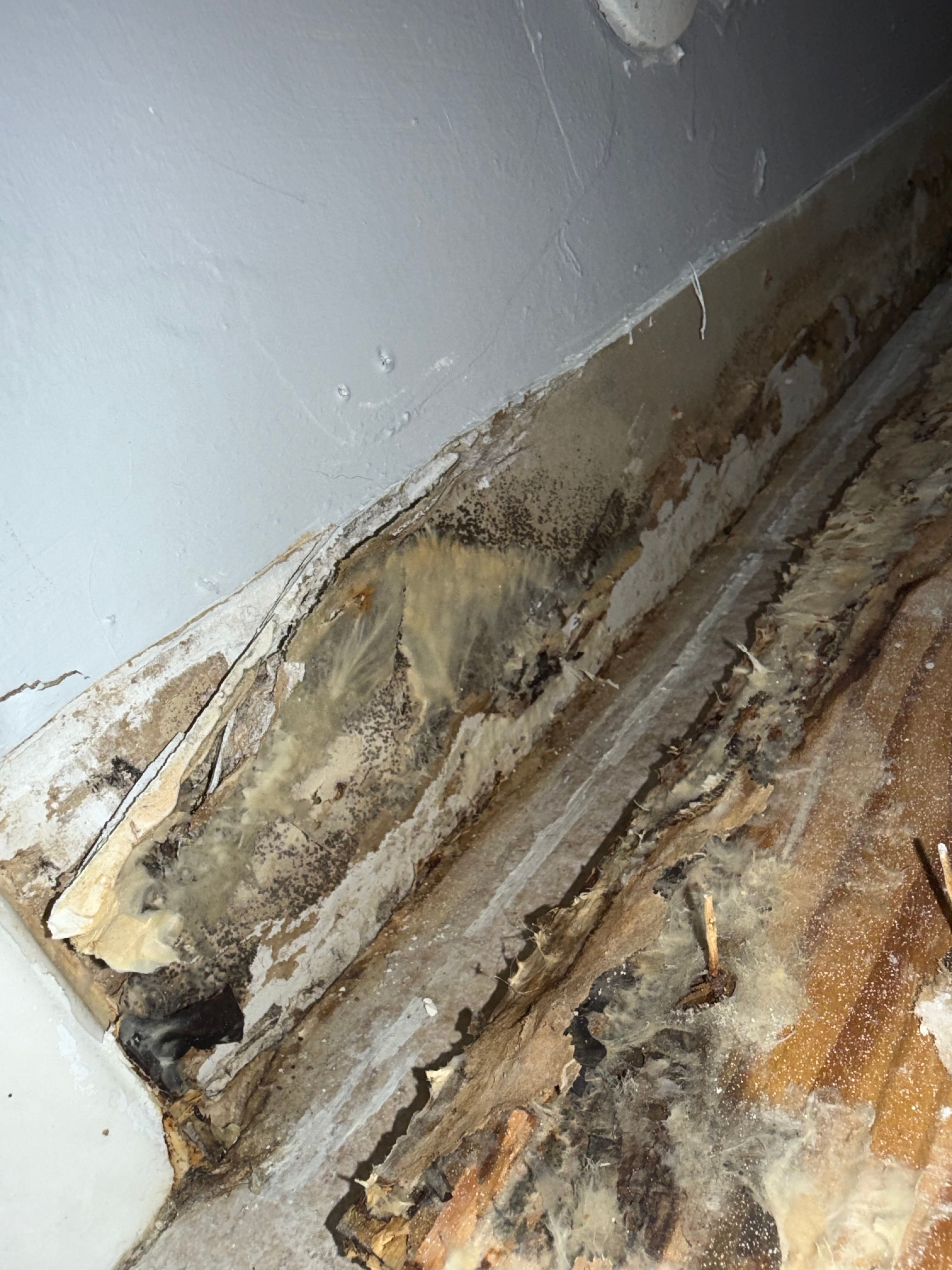  for N&D Restoration Services When Disaster Strikes, We Come In in Cape Coral,  FL