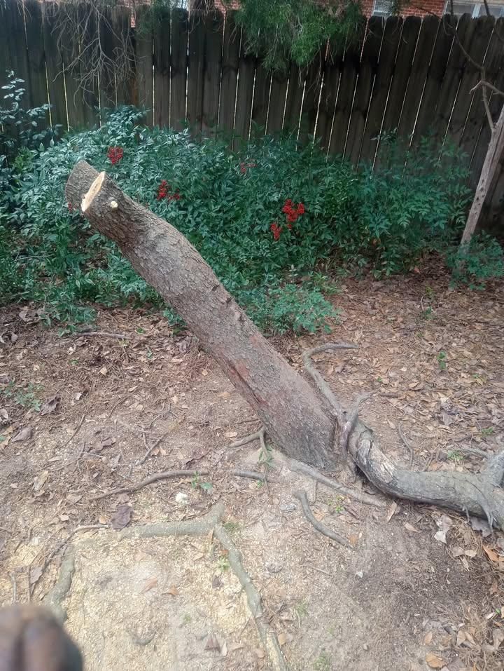  for Herring Lawn Care in Columbus, GA