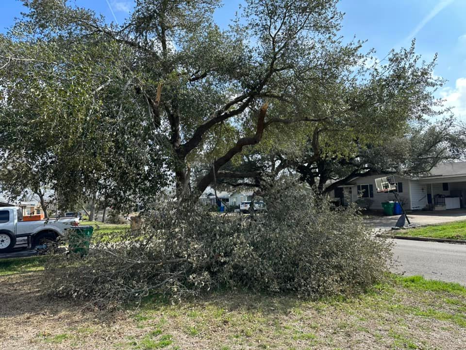 Mowing for Allen Lawn Care in Taylor, Texas