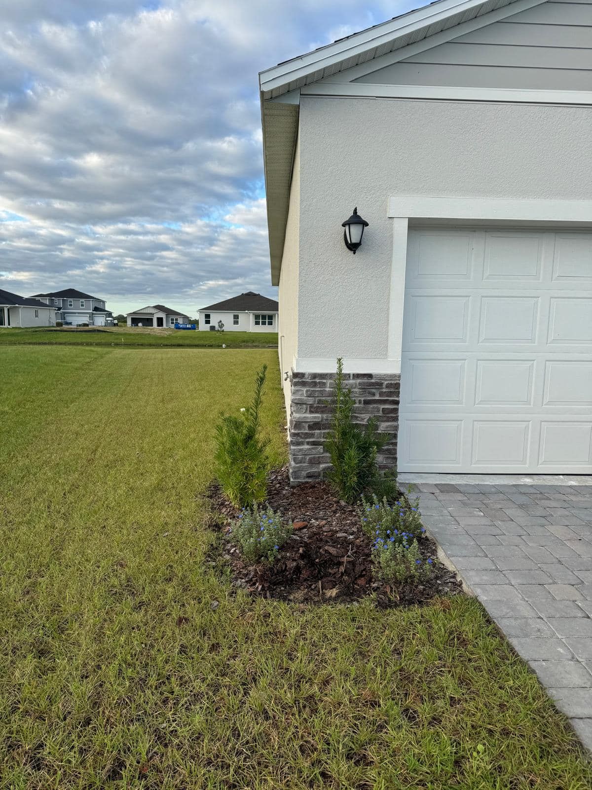 Lawn Care for Prestige Landscape Solutions in Vero Beach, FL