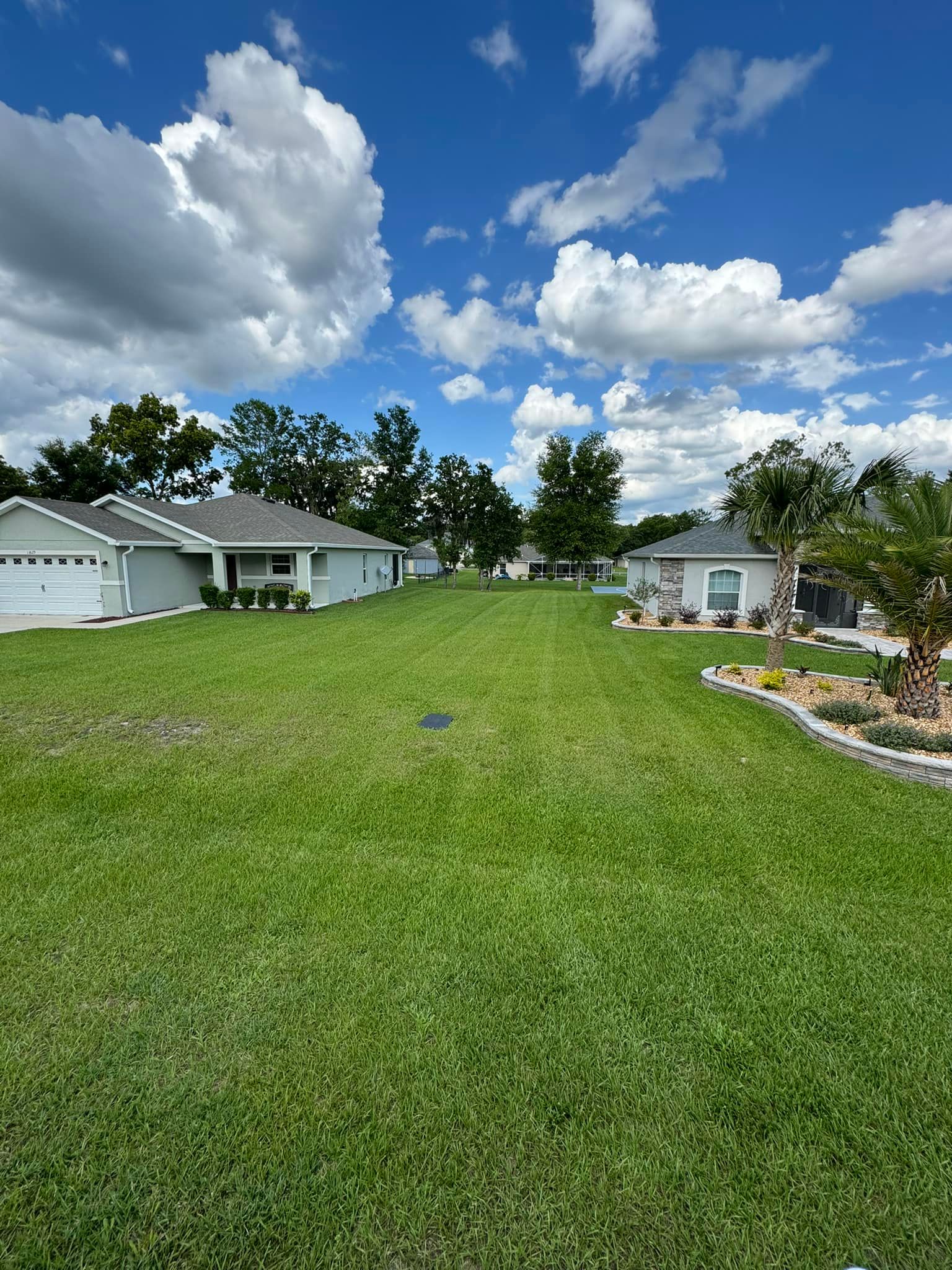 All Photos for Young's Lawn Services LLC in Ocala, FL