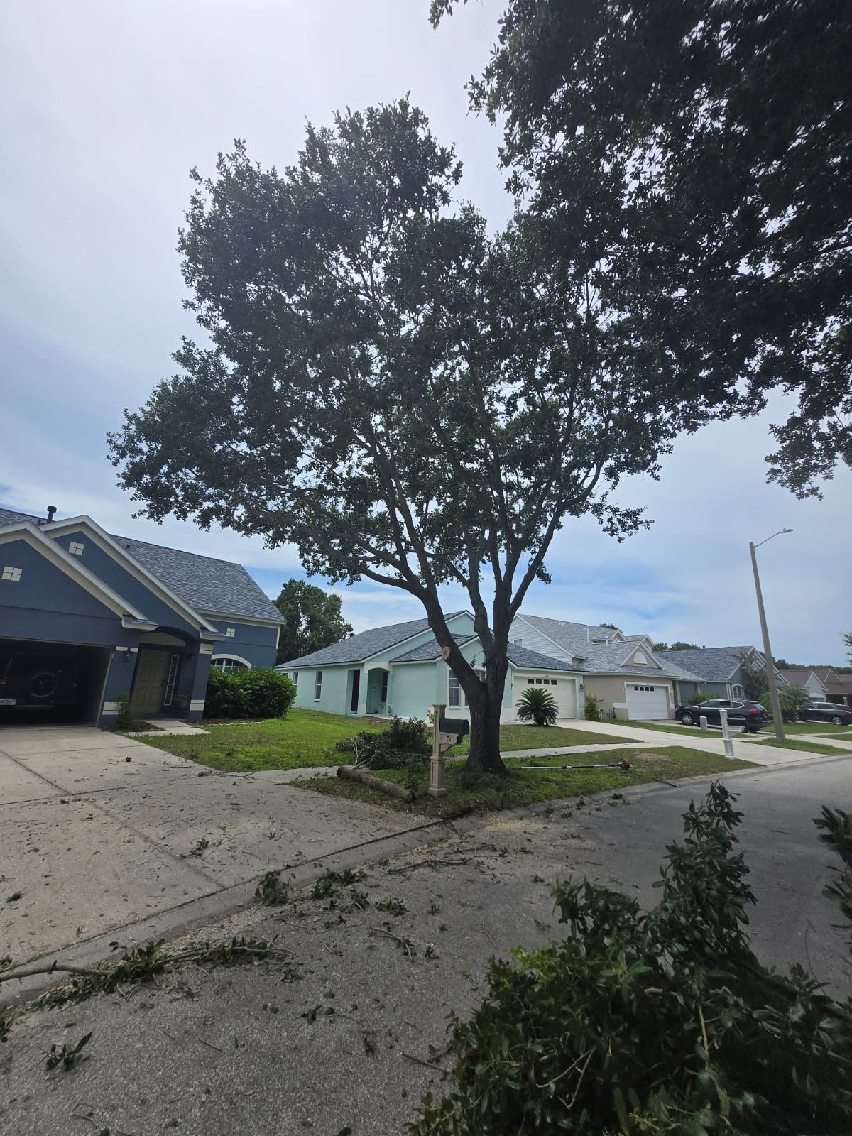 All Photos for TREE BOYS in Ruskin, FL