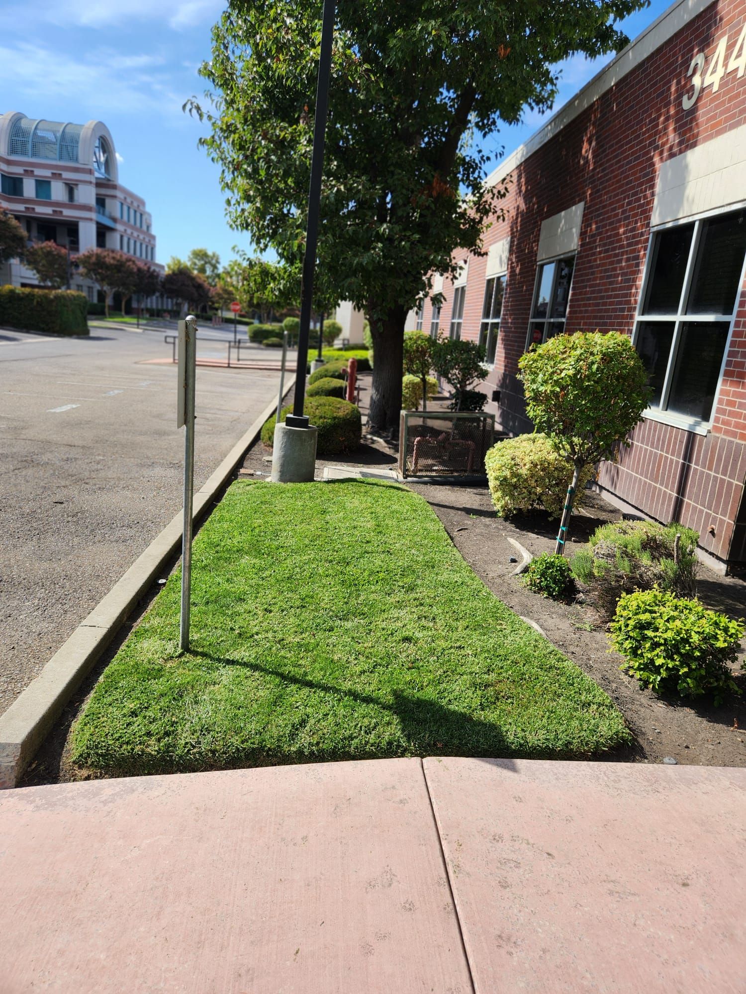  for Vargas LANSCAPE LLC in Stockton, CA