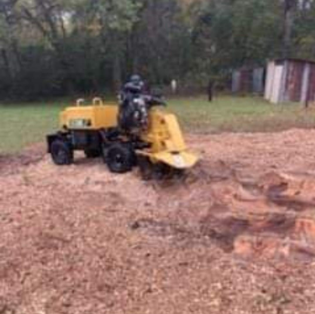  for Reliable Stump Grinding in Frankston, TX
