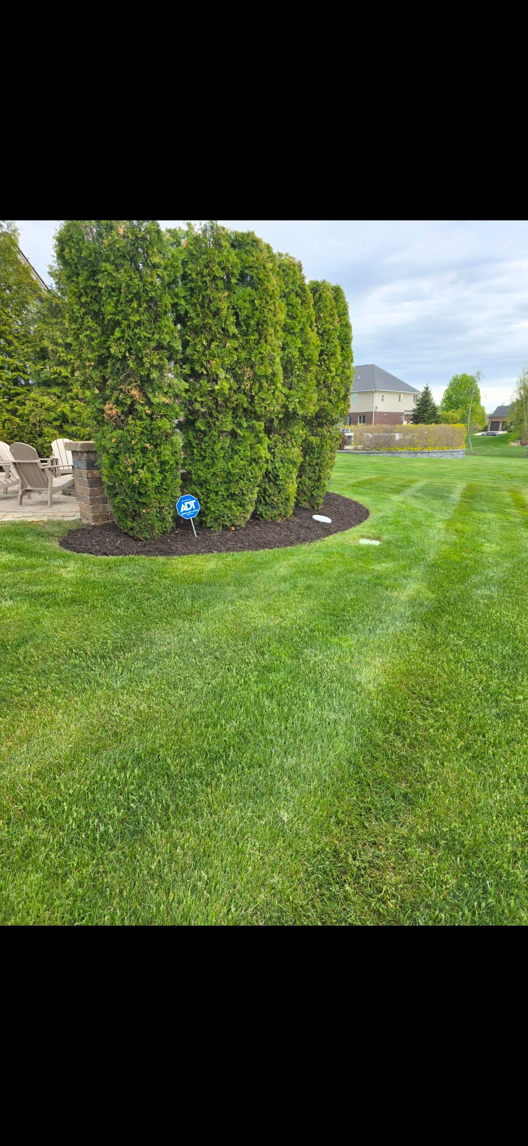  for Ivy Lawn and Landscaping in Oxford, MI