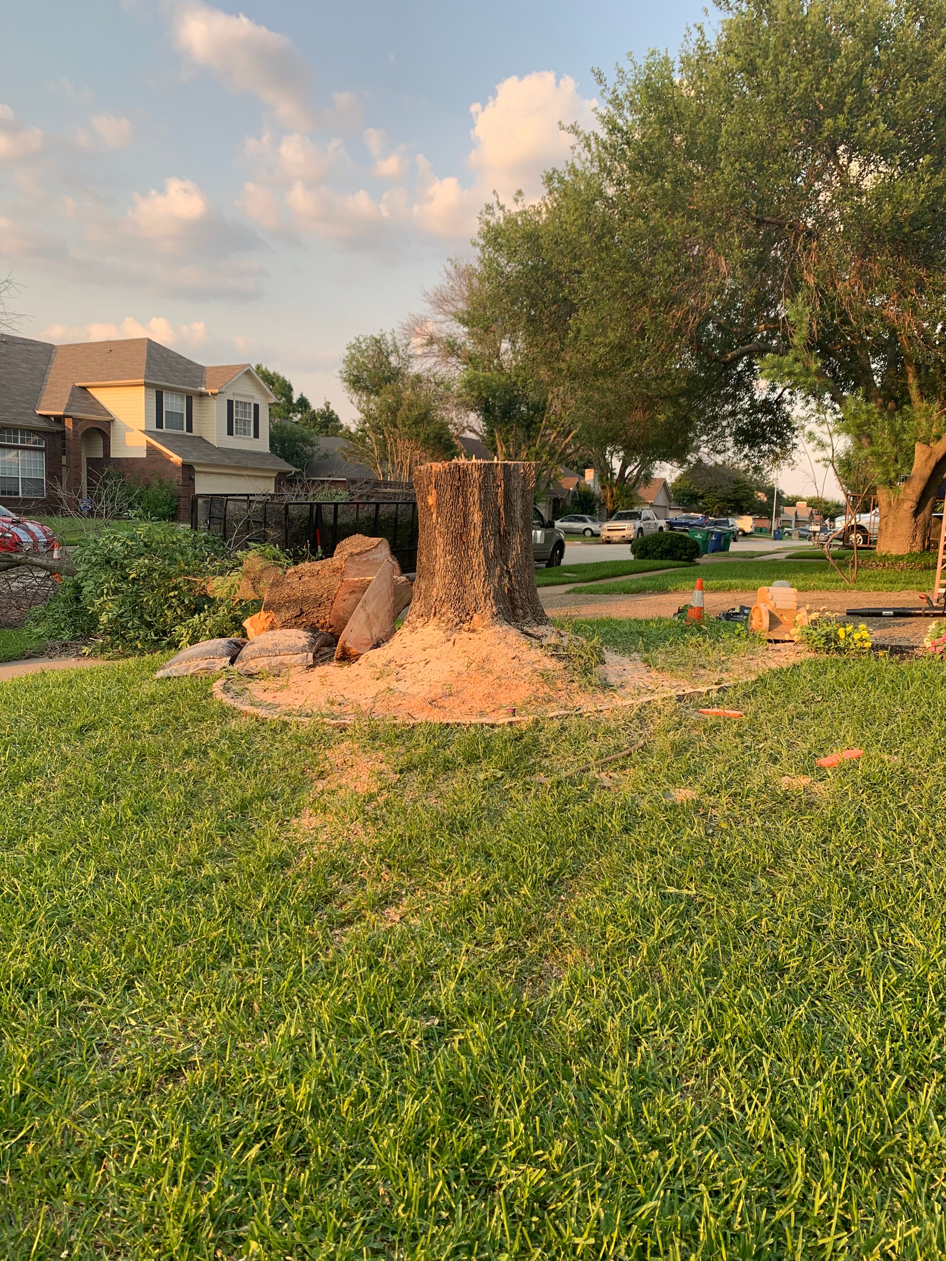  for TLC Professional Tree Service in Bedford, TX