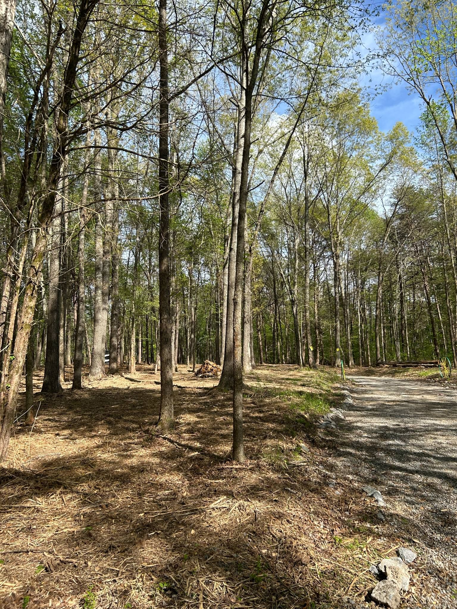  for Z's Land Management & Forestry Mulching in Smithville, TN