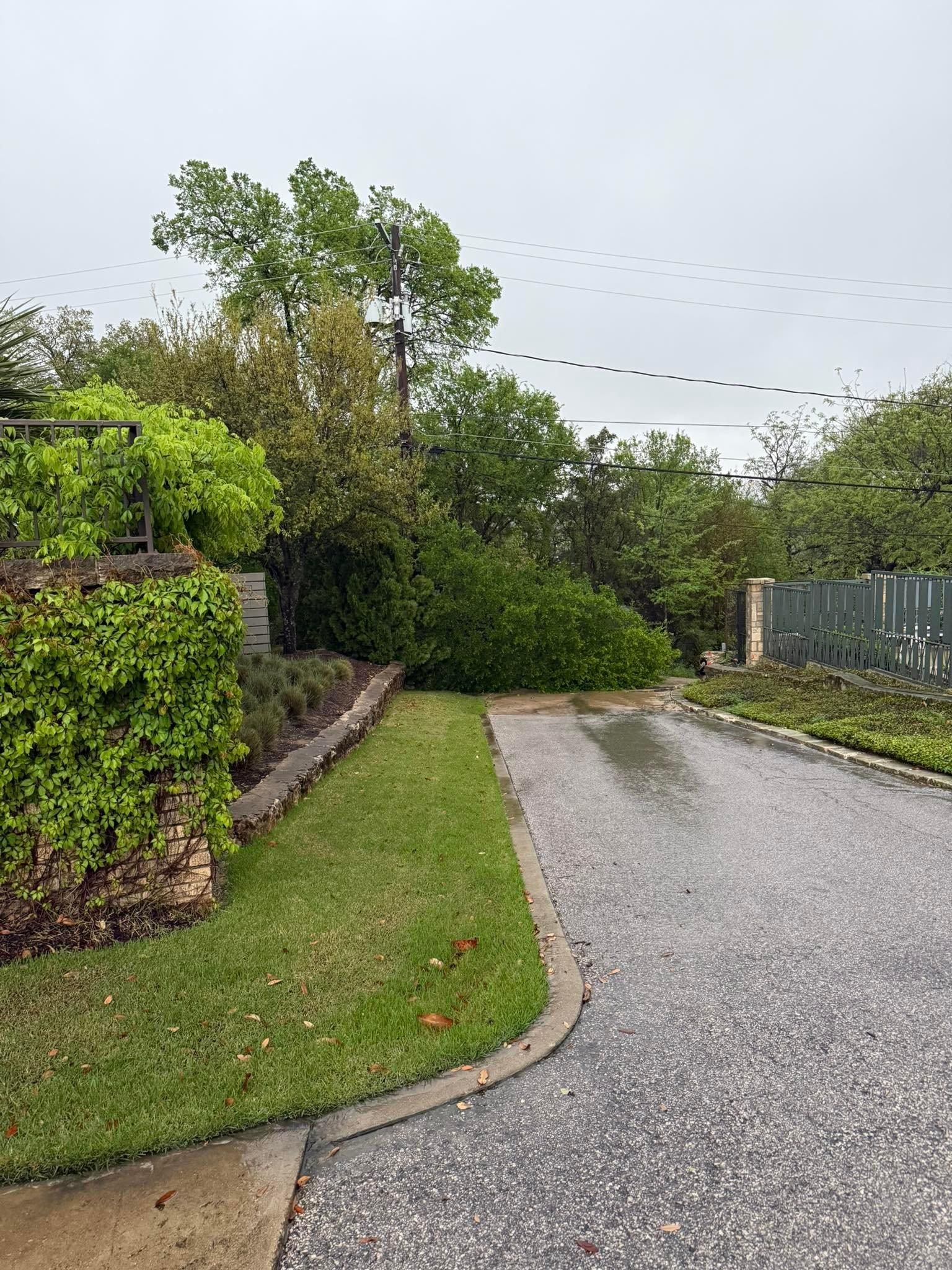 All Photos for Camerons Stump Grinding & Tree Services in Austin, TX