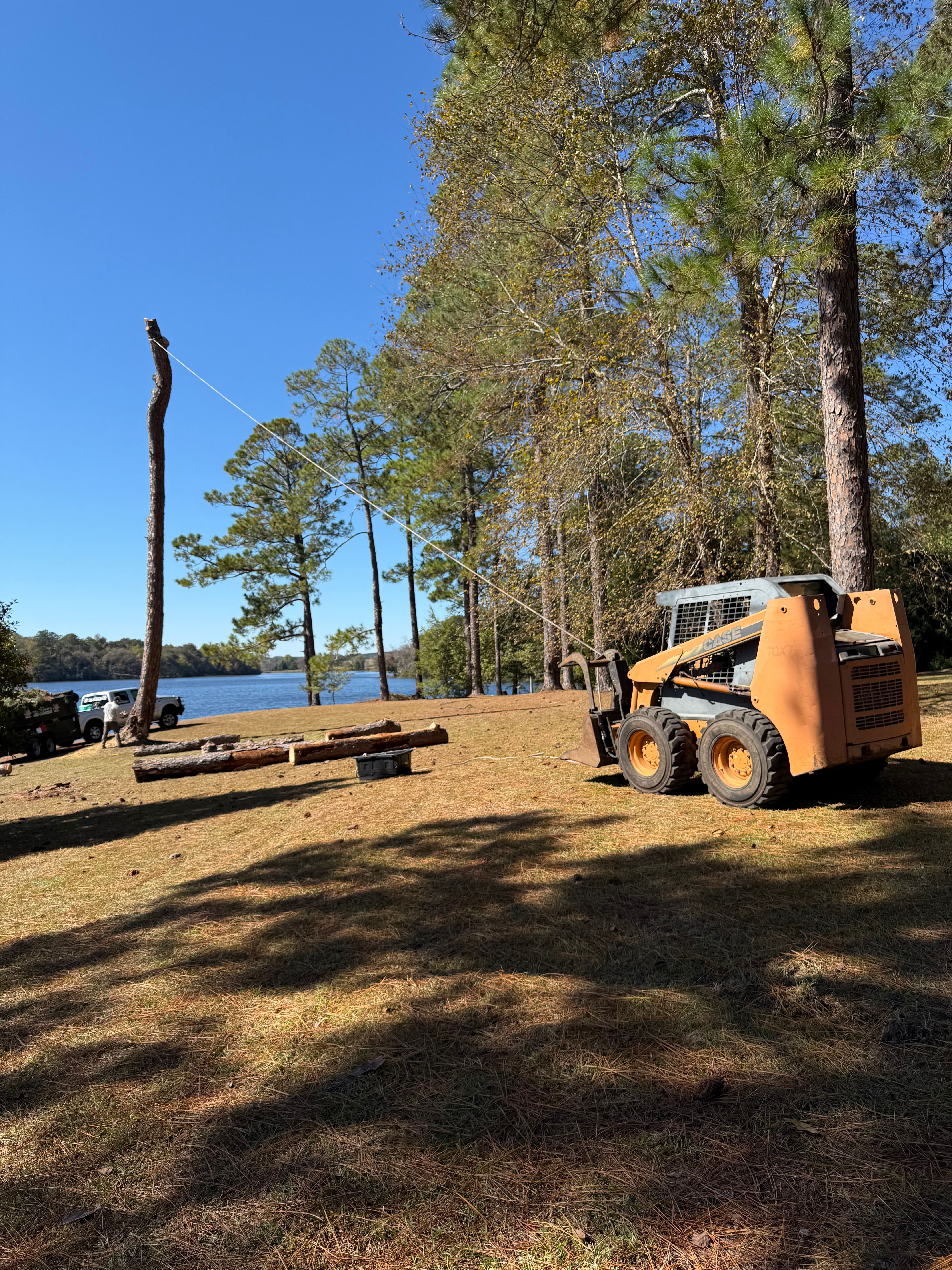  for T N L - Tree and Land Service in Reynolds, GA