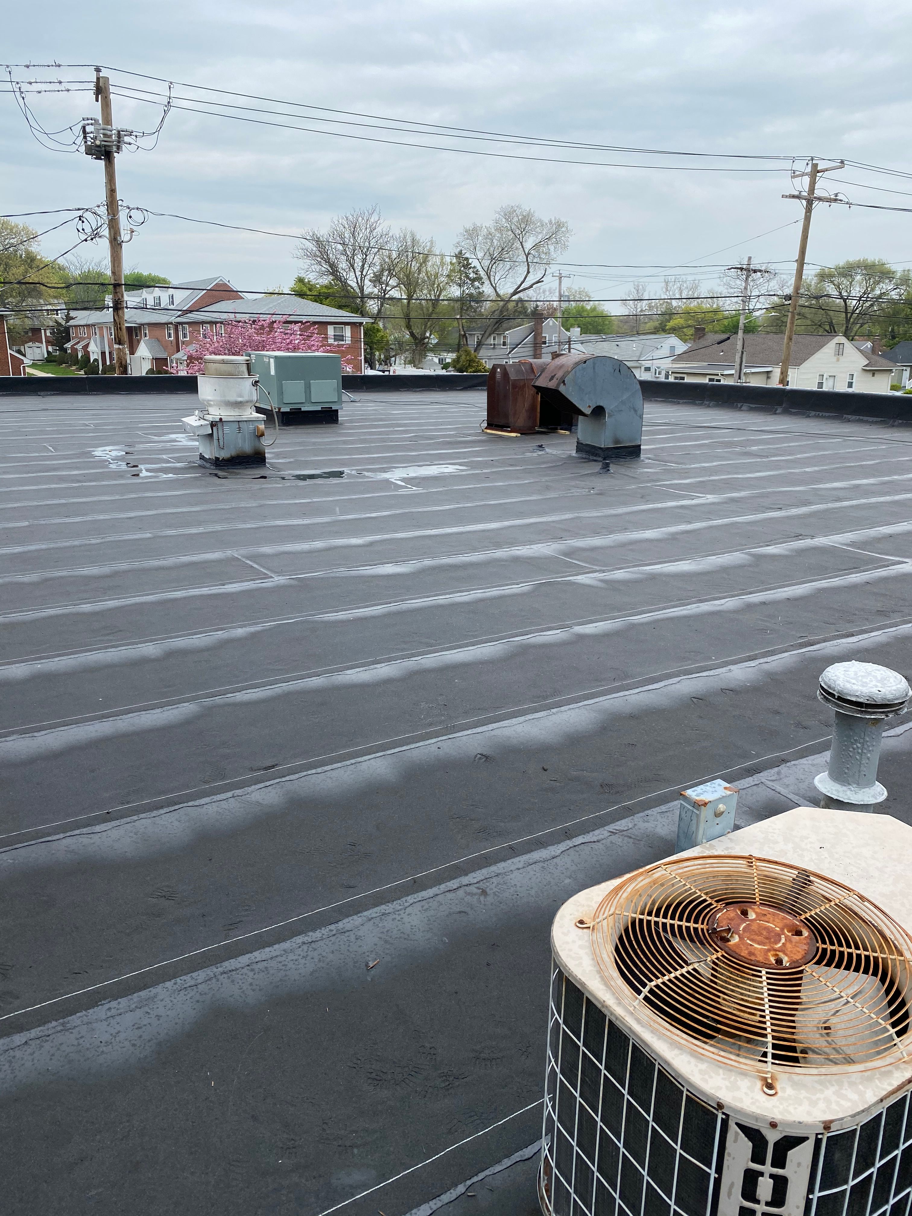  for Golden Hammer LLC in Patchogue, NY