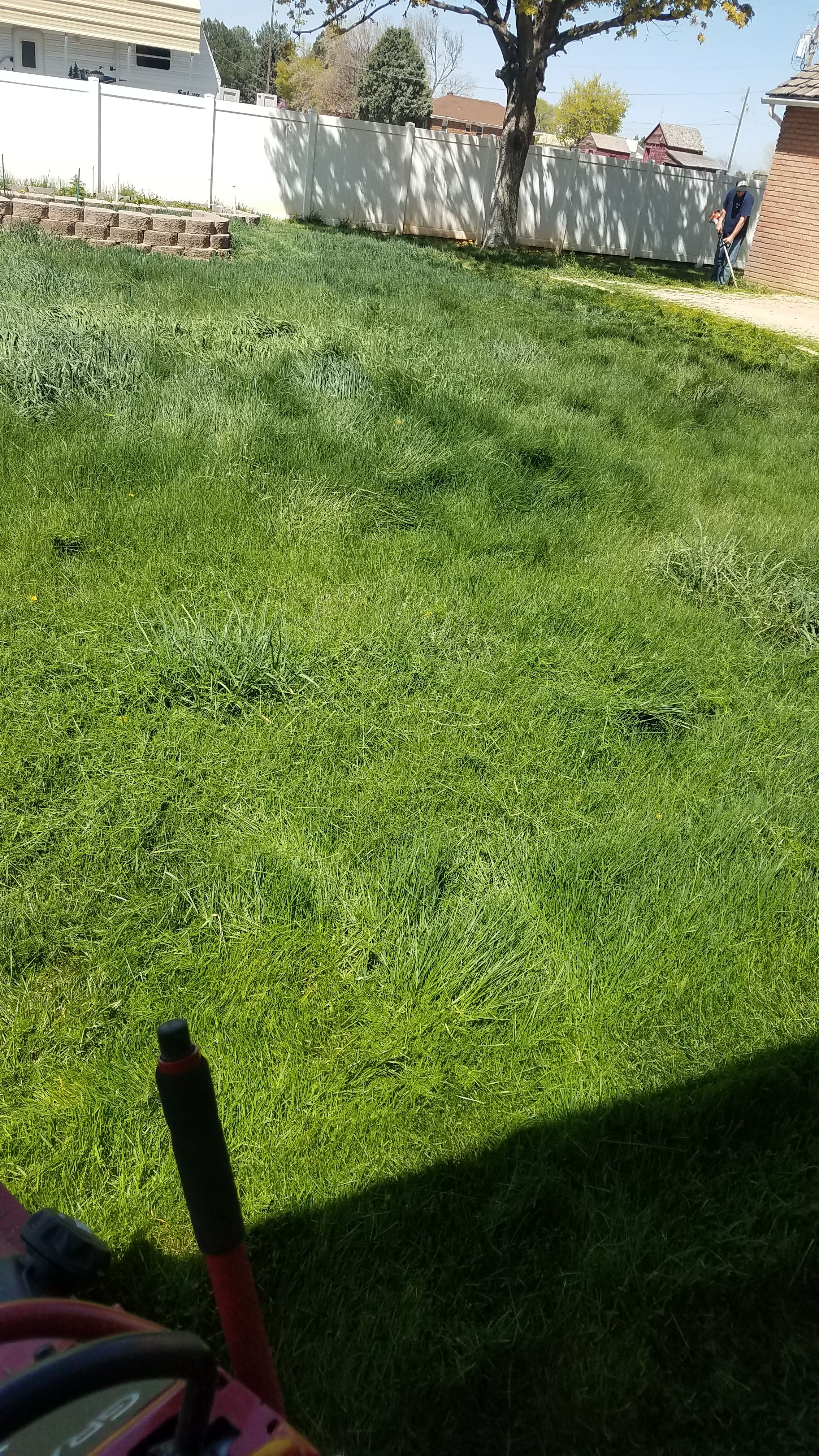  for Platinum Lawn Service in Santaquin, UT