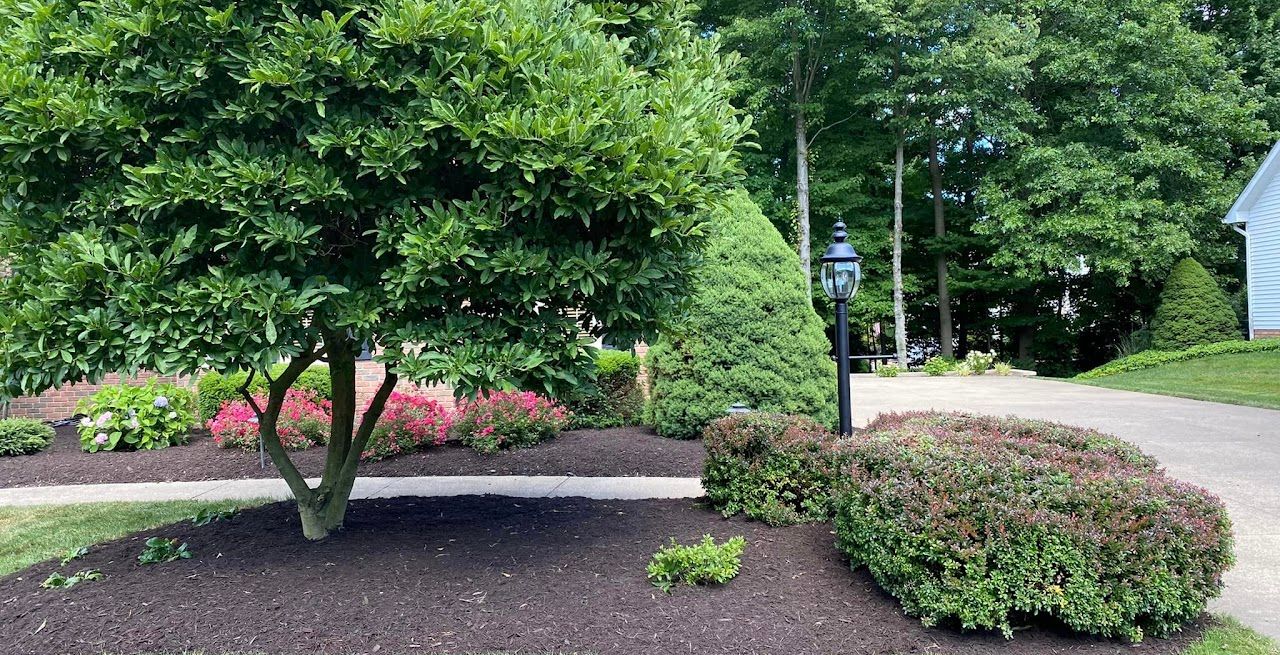  for Jenkins Landscaping & Property Management LLC in Clinton, OH