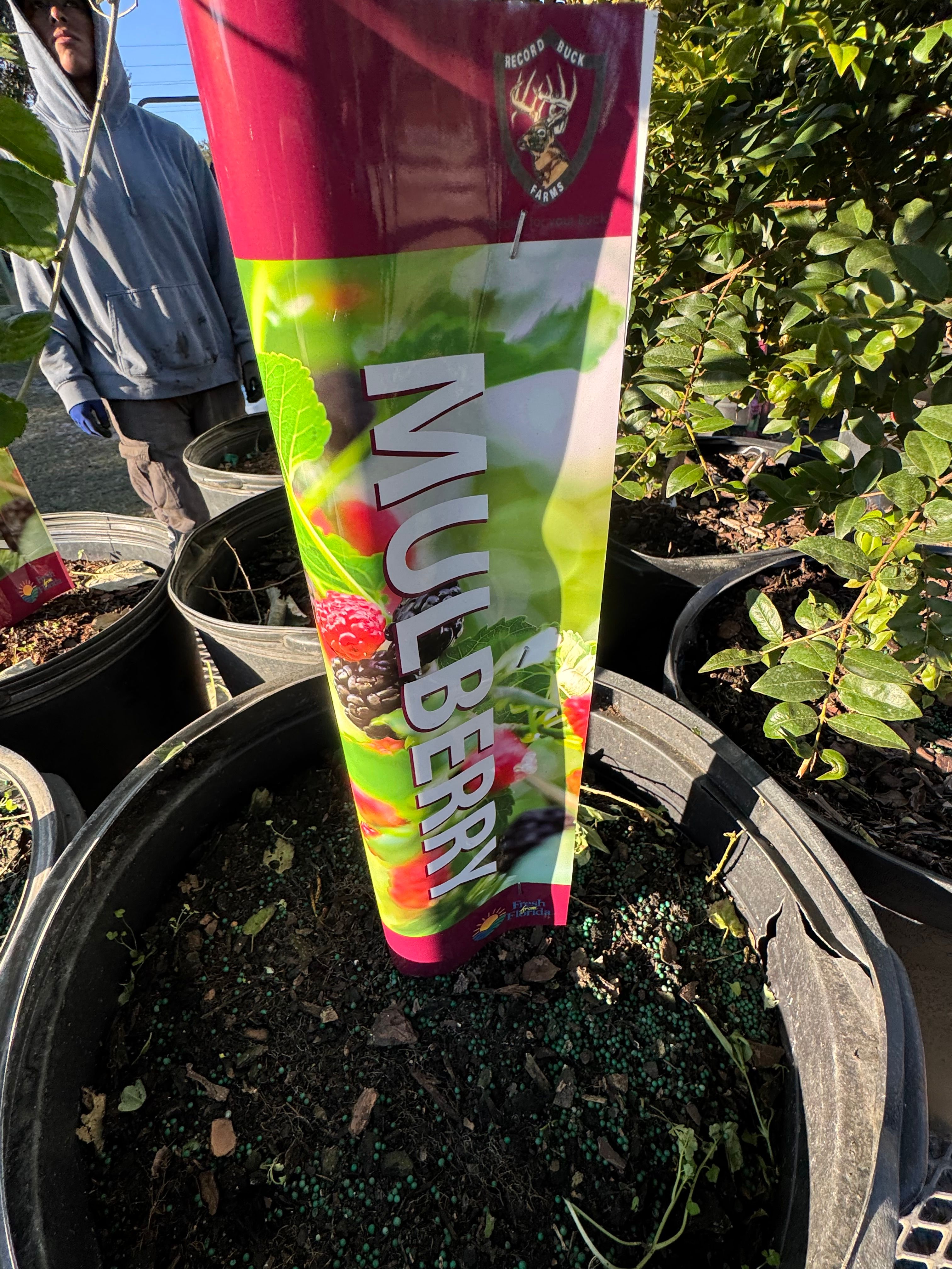  for Southern Roots Tree Farm in Crystal River, FL