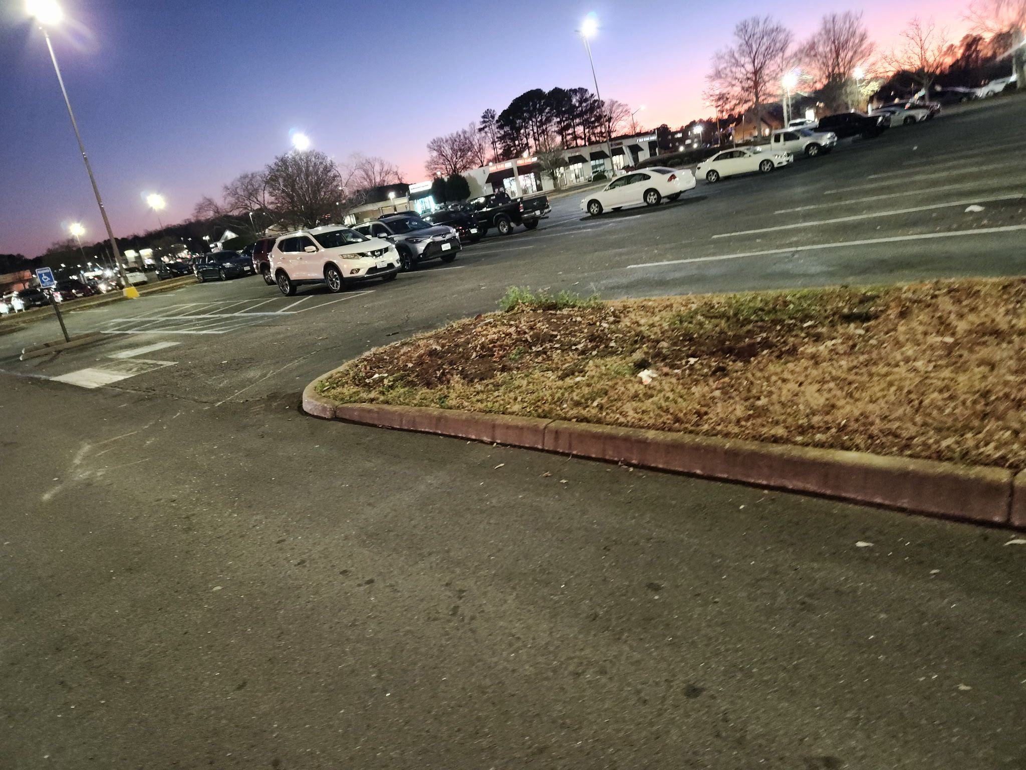  for Tidewater Tree Service in Chesapeake, VA