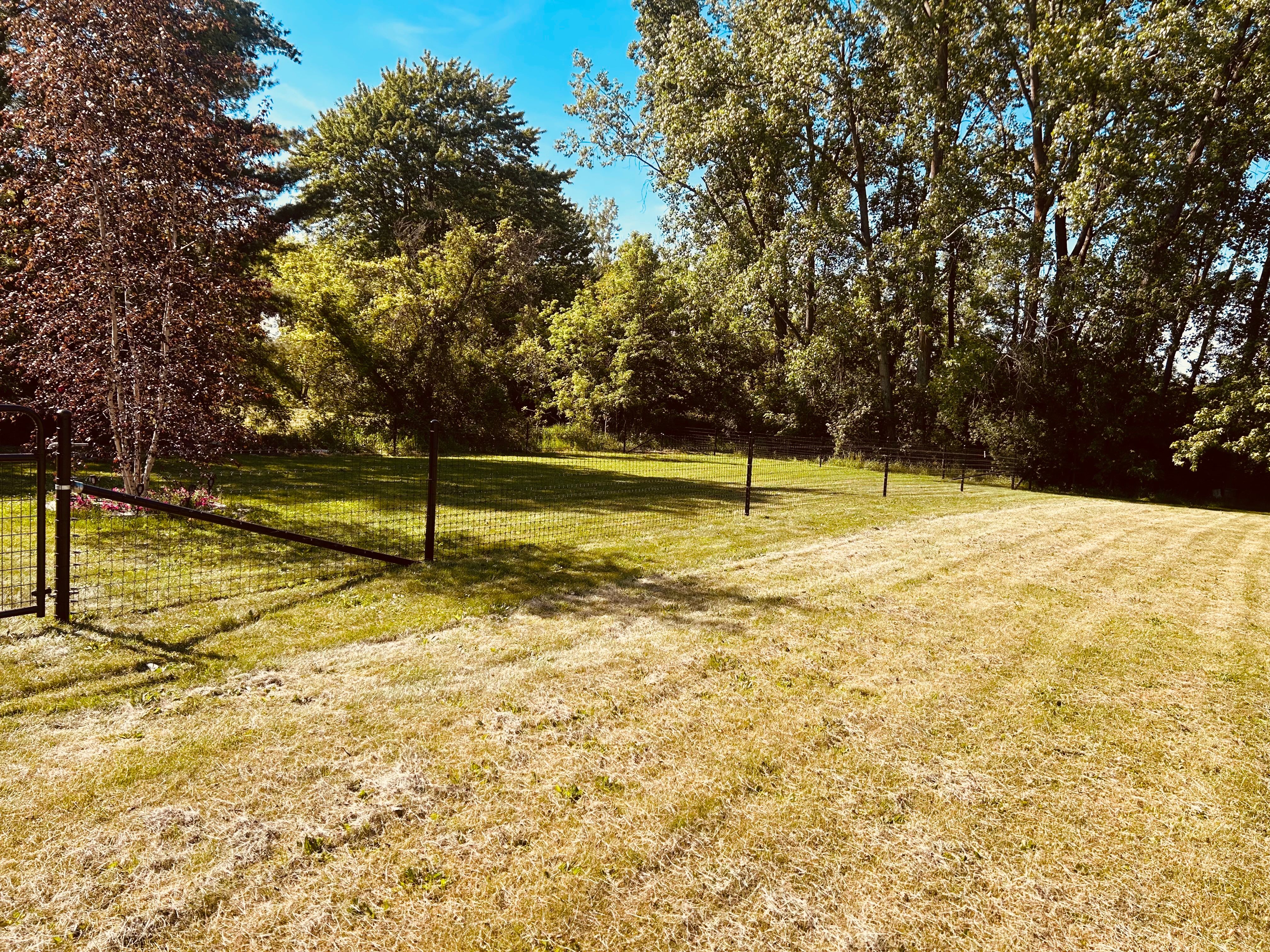  for TMF Services in Lapeer County, MI
