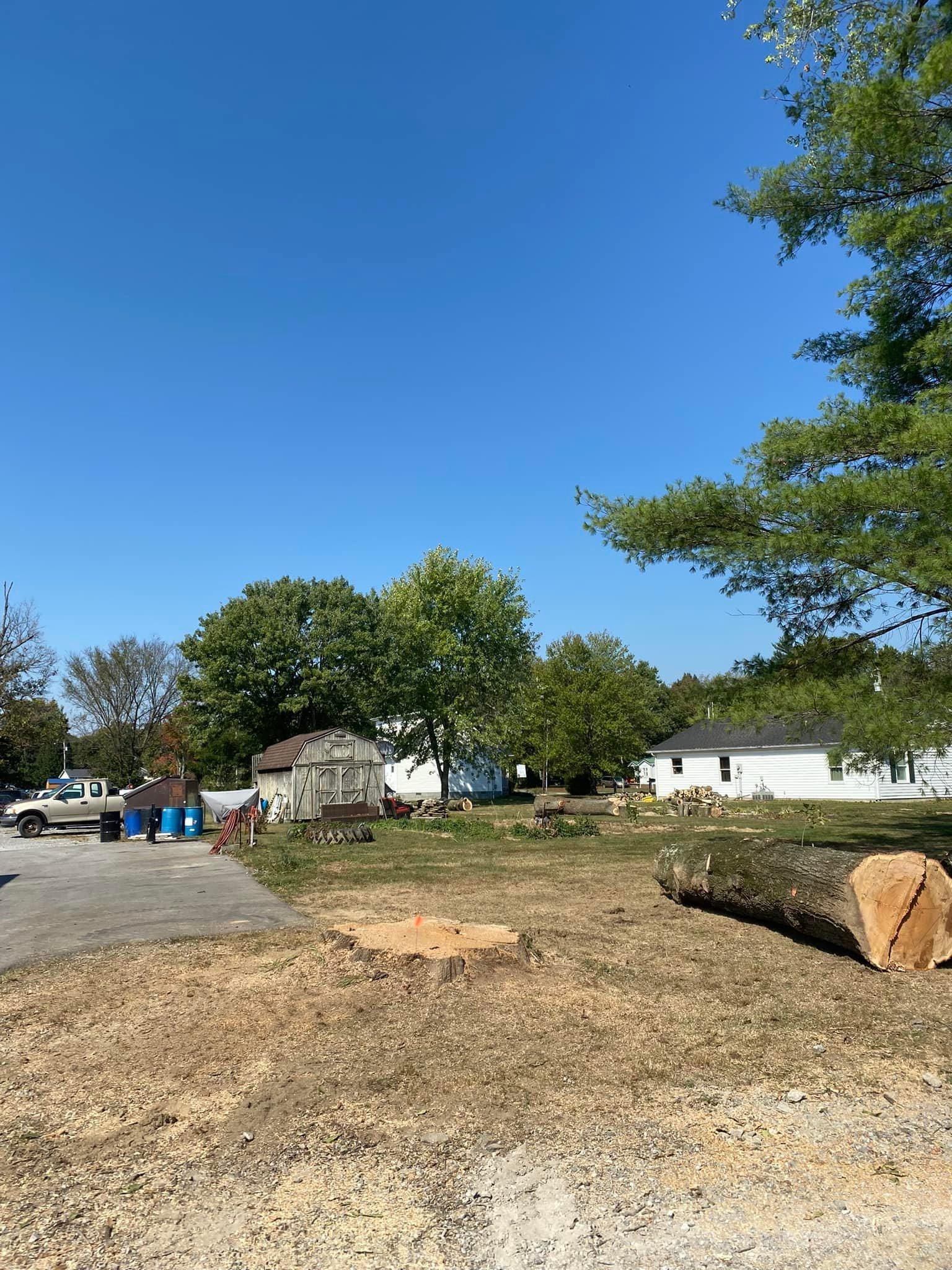 Fall and Spring Clean Up for Atwood’s Tree Care in Liberty,  KY