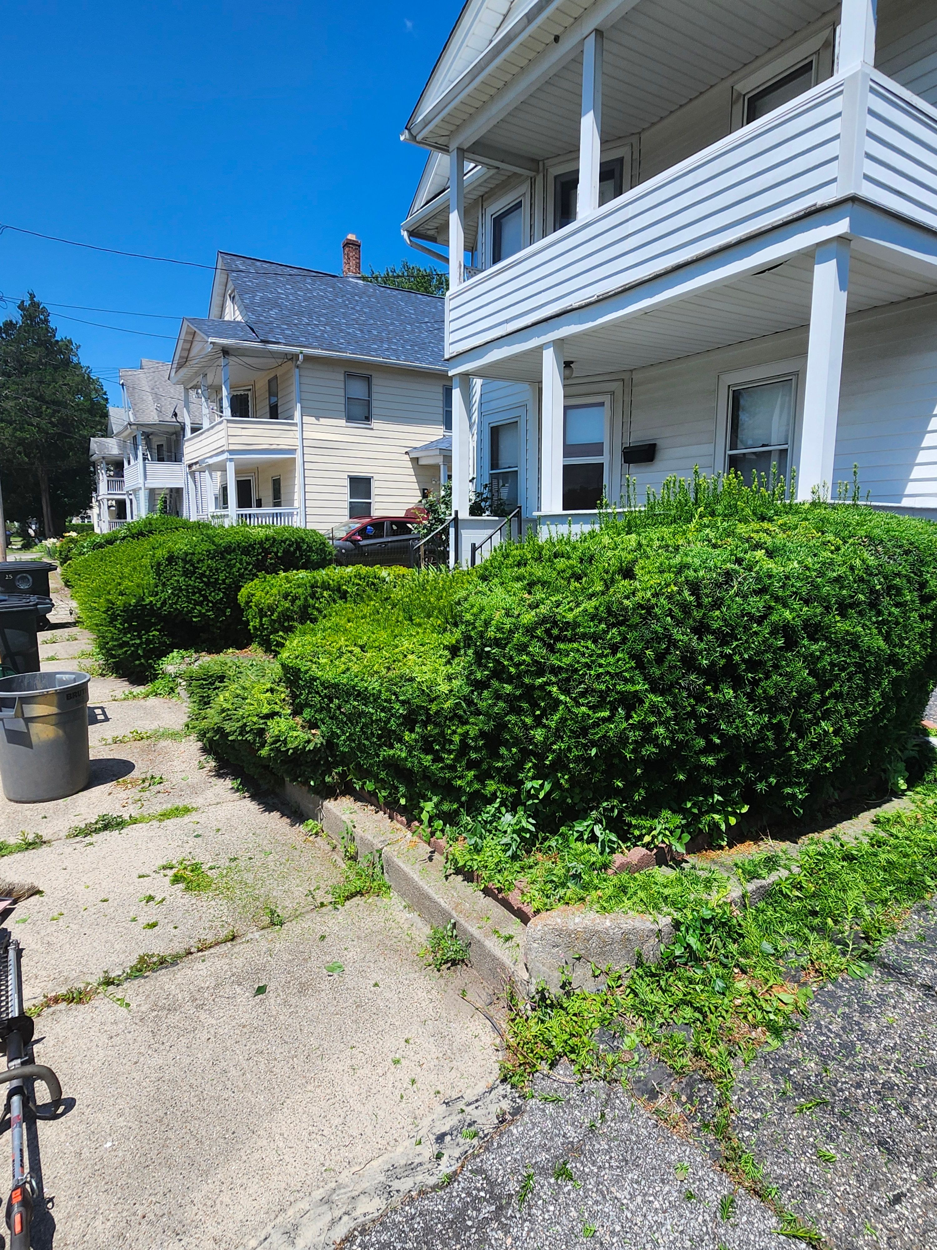Hedge/Tree/Brush Cutting for Landscape Innovations LLC in Torrington, CT