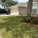  for Gulf Bay Sod in Clearwater, FL