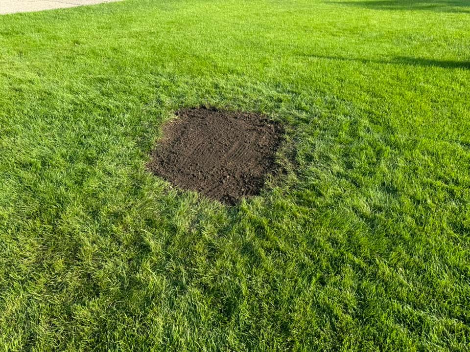 for RTK Co. Land Management in Raymond, MN