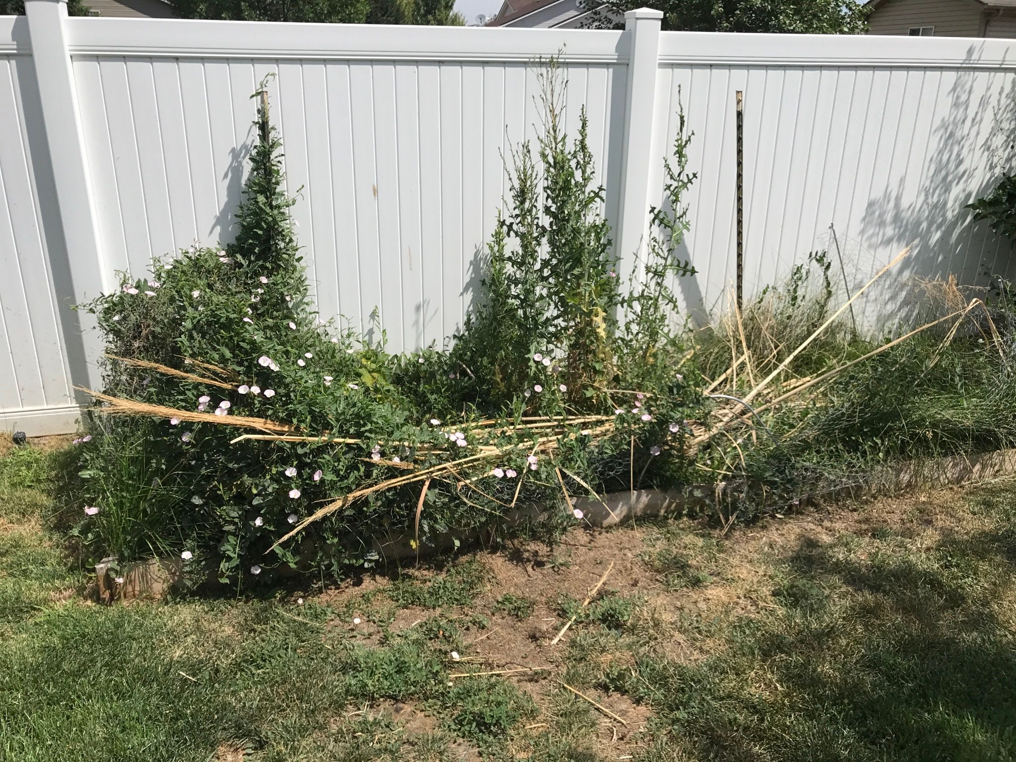  for Rock Masters Inc. in Evans, CO