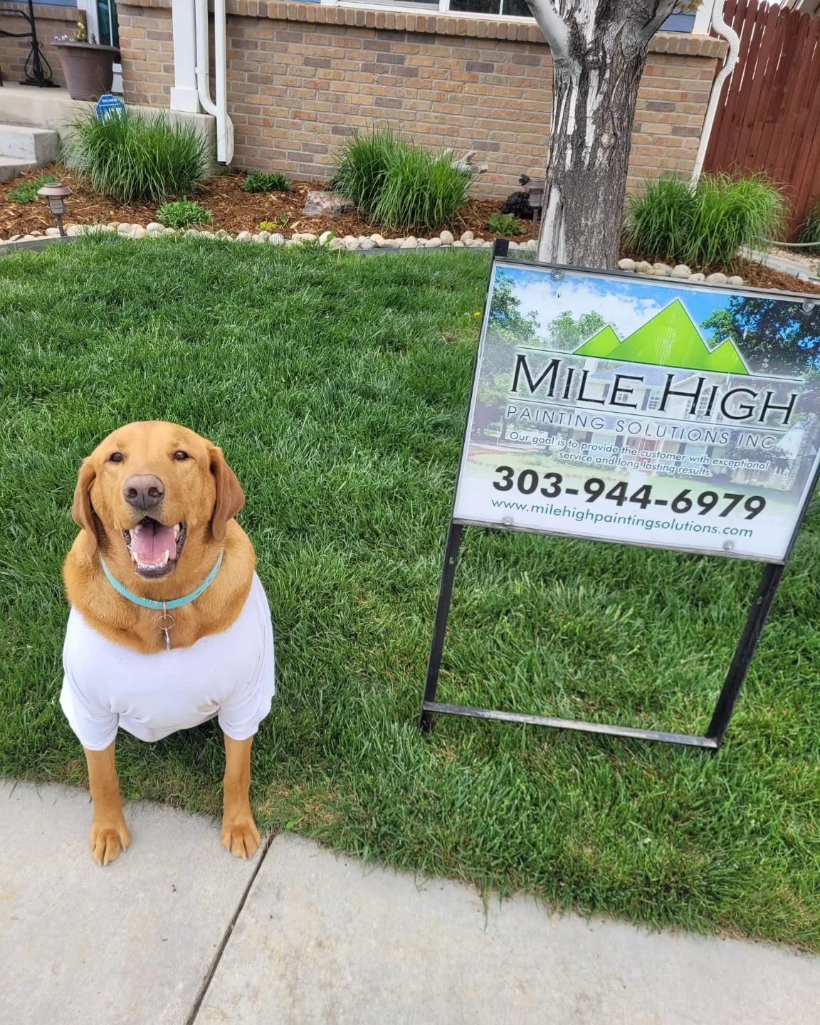 All Photos for Mile High Painting Solutions in Denver, CO