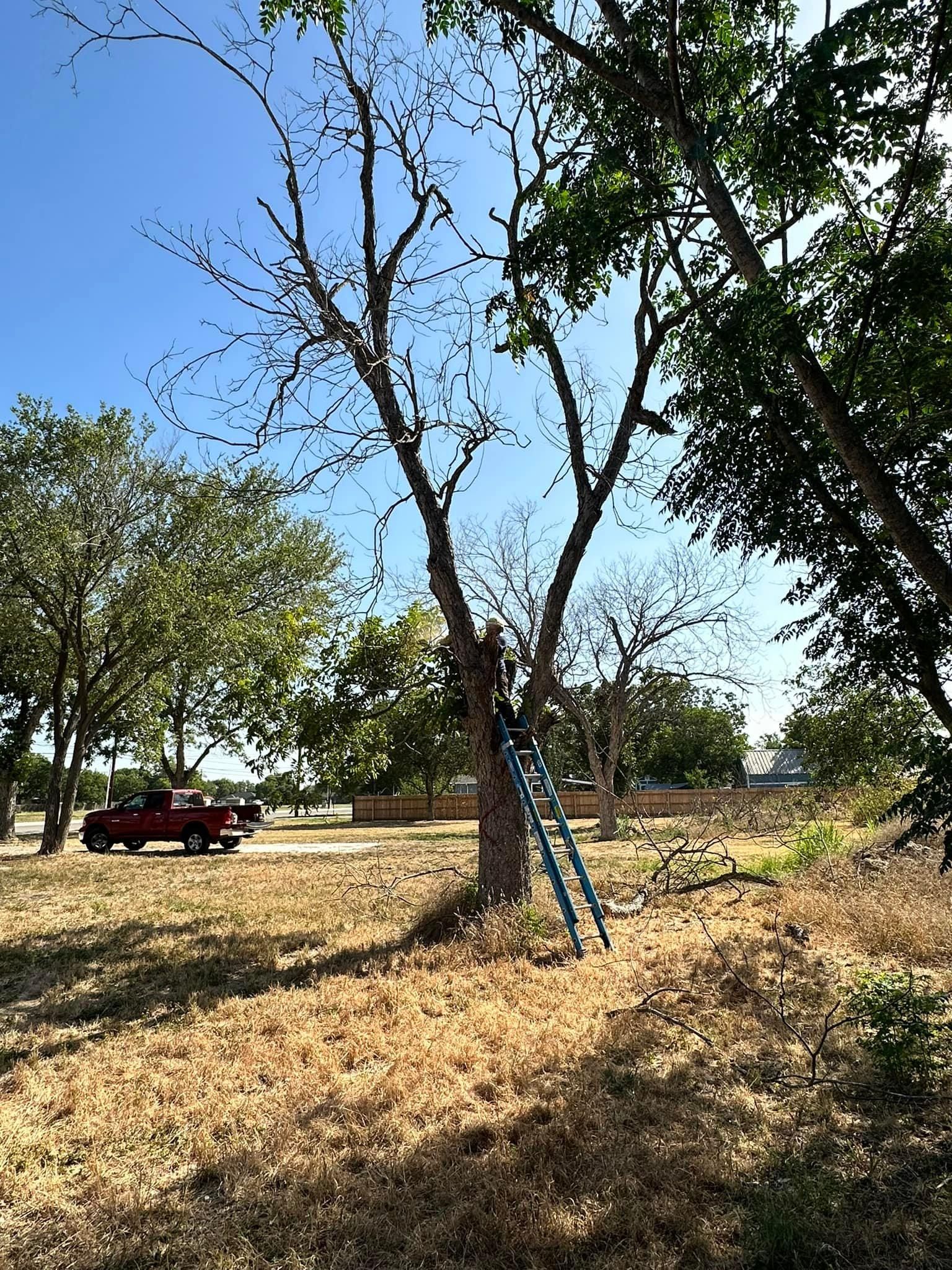  for Green Turf Landscaping in Kyle, TX