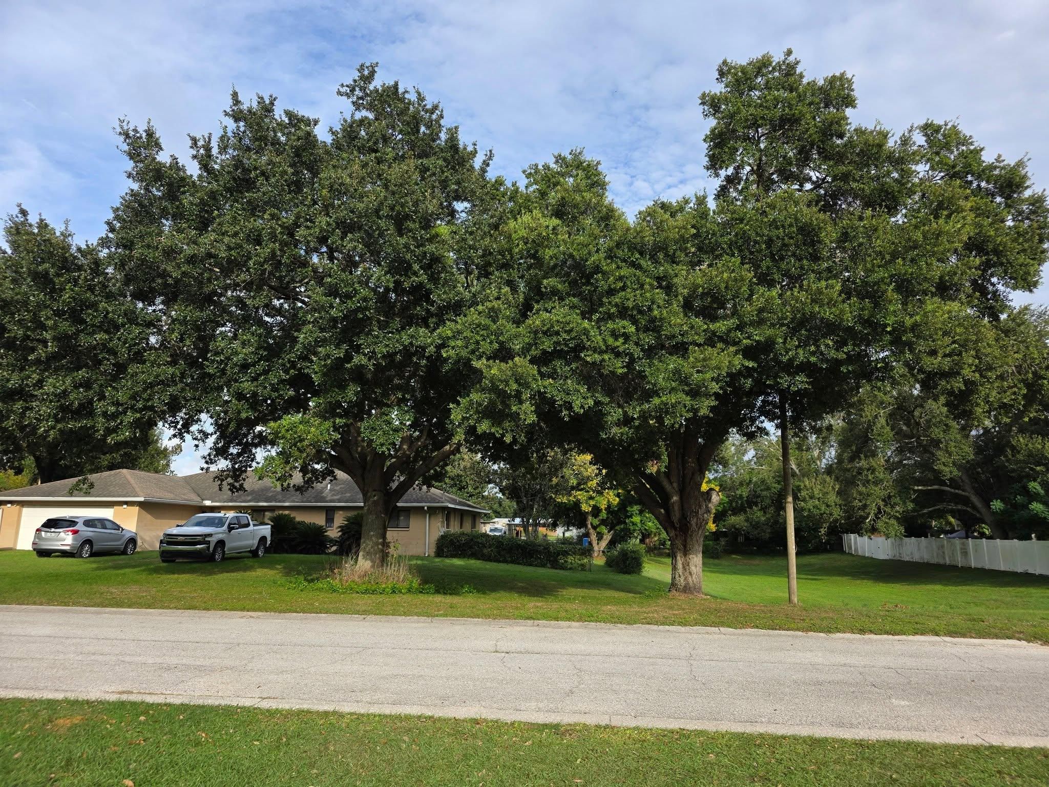  for Bay Area Bobcat in Riverview, FL