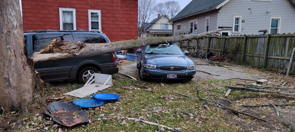  for Tree-B-Gone in Shawano, WI