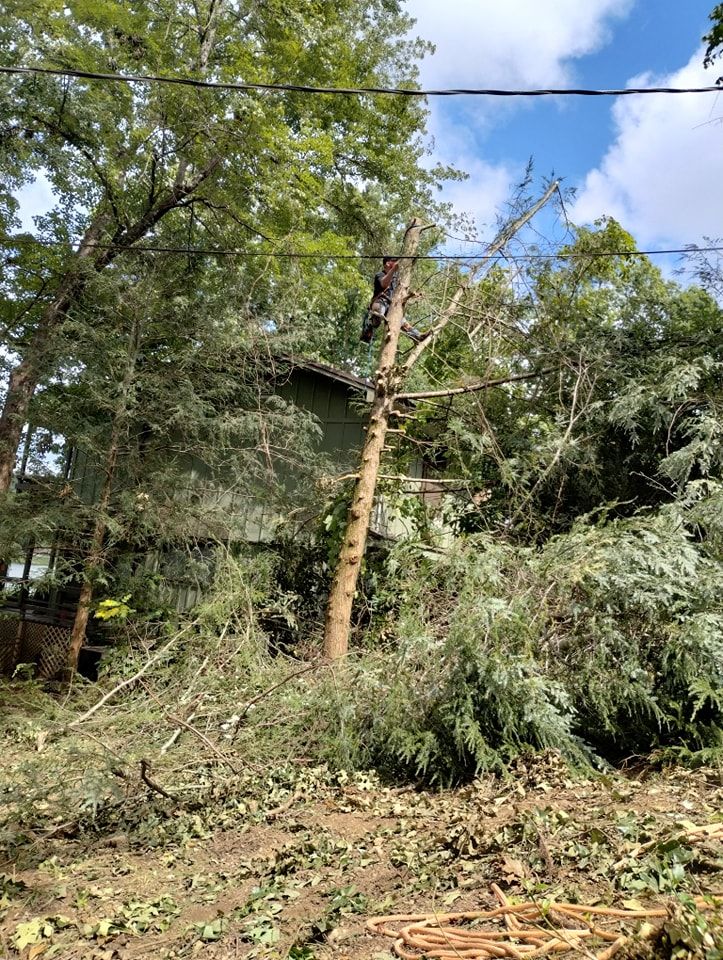  for Wade's Family Tree Service in Townsend, TN
