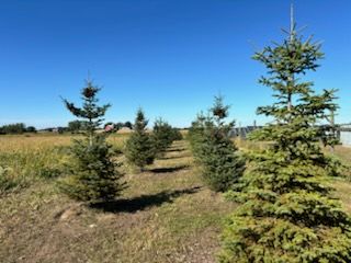  for Premier Services in New London, MN