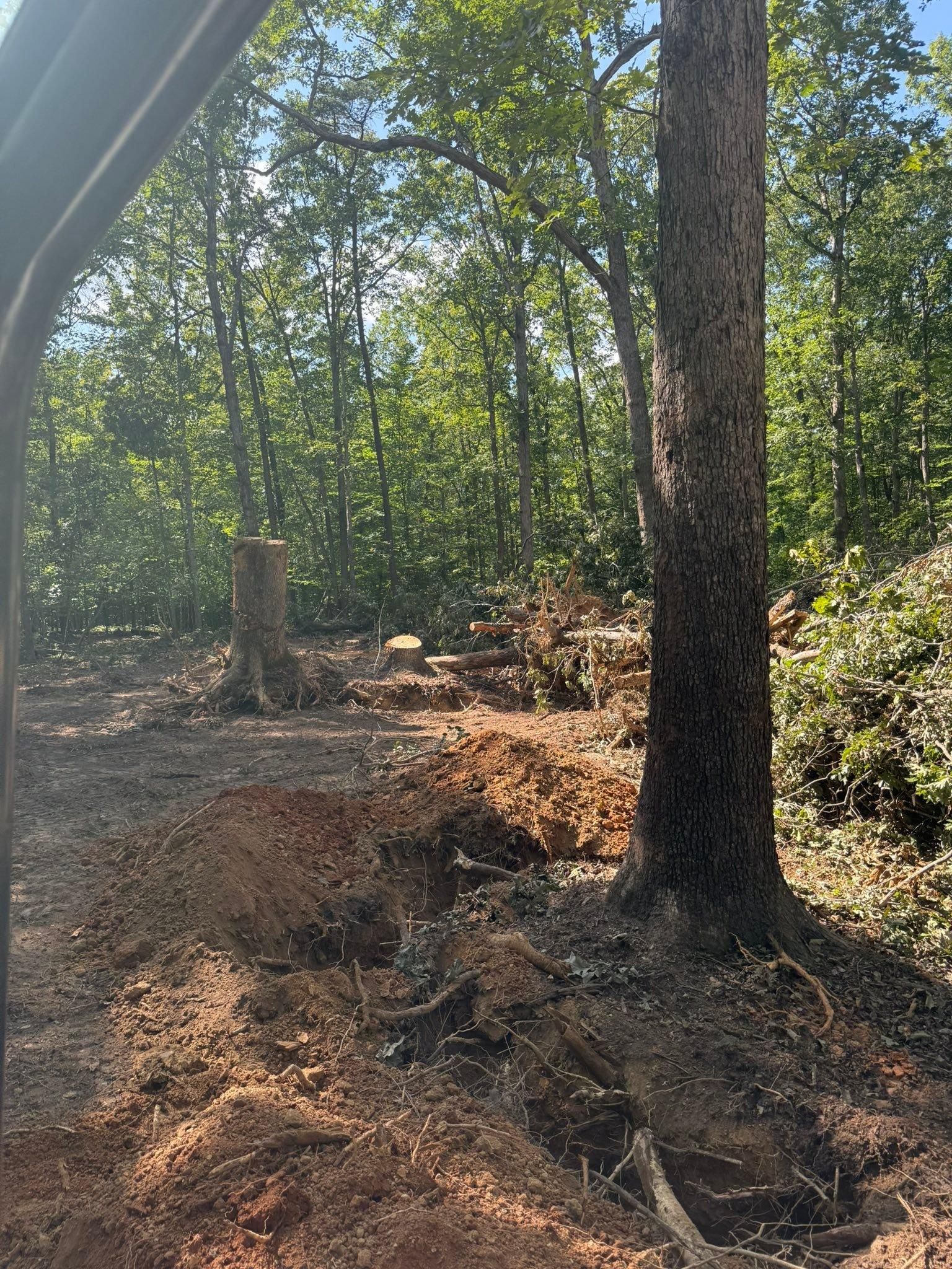  for Chiles Lawn & Landscaping in Gordonsville, VA