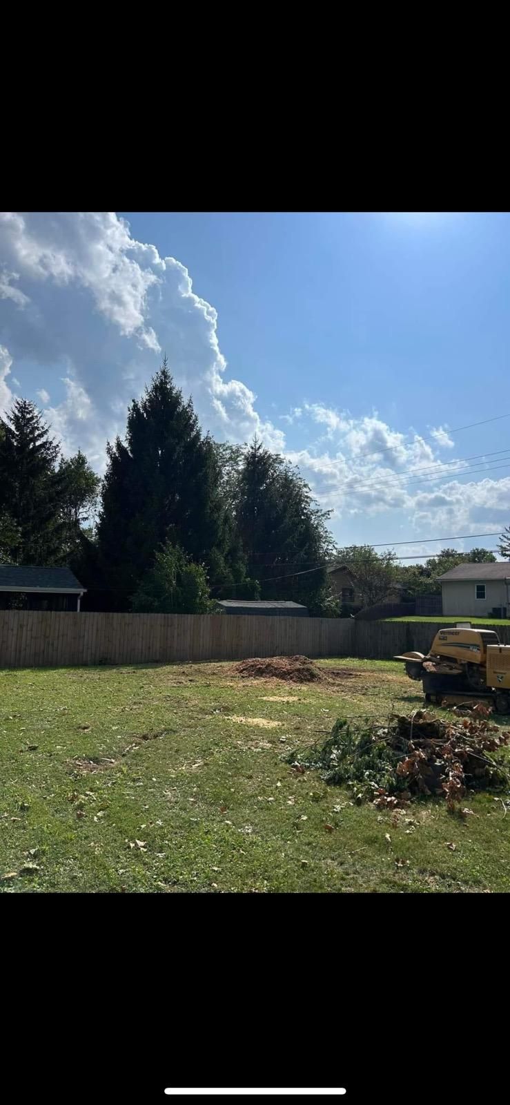  for Dig-It Tree Company in , 