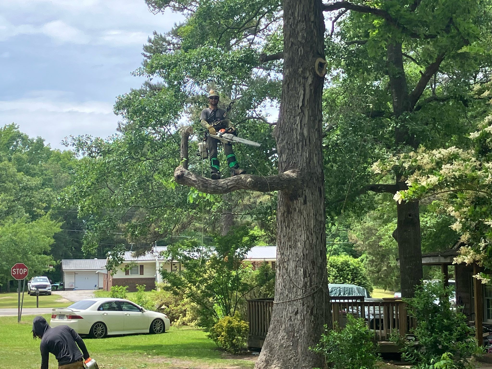  for Total Tree Care in Erwin, North Carolina