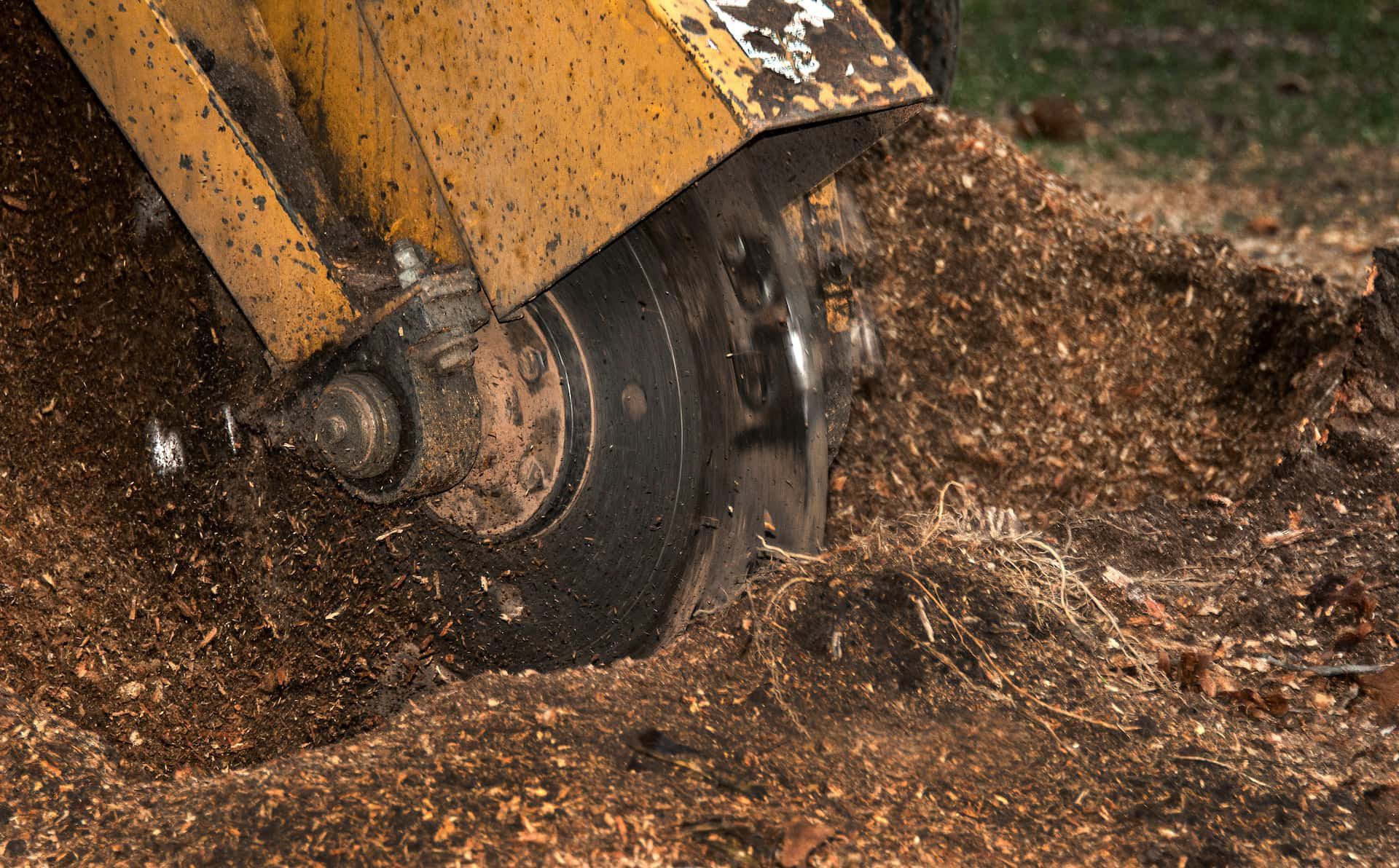 All Photos for Otis Lee Stump Grinding LLC in Elgin, SC