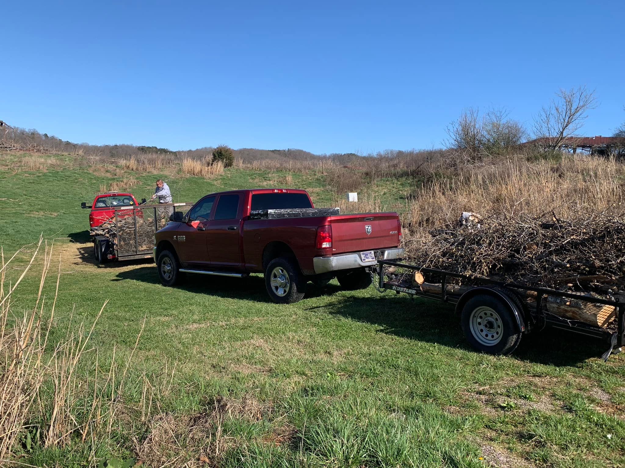  for Grainger Tree Service in Blaine, TN