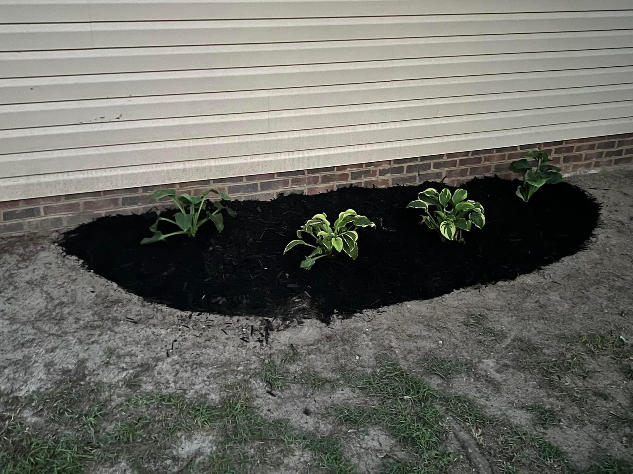  for Shang's Landscaping Service in Columbia, South Carolina
