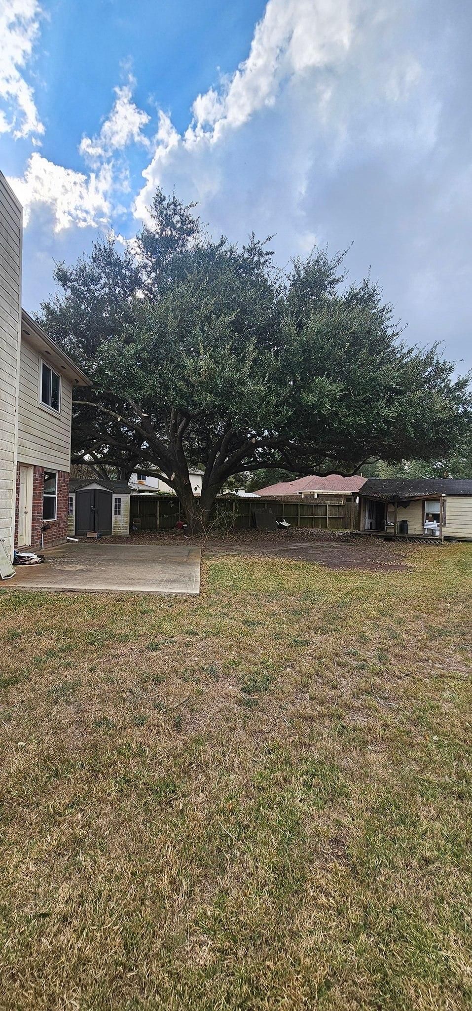  for Servin's Tree Care  in Houston, TX