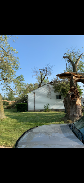 All Photos for Allstate Tree Service and Crane in Spring Lake Park, MN