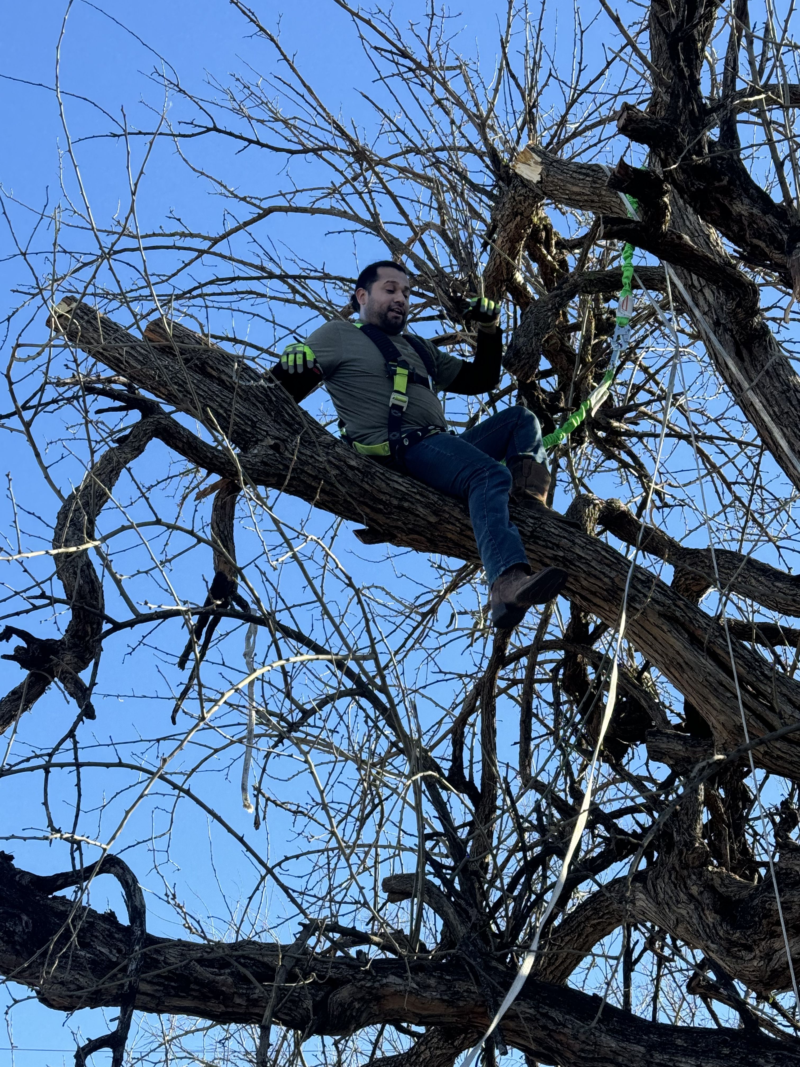  for Living Stream Renovations LLC in Dallas, TX