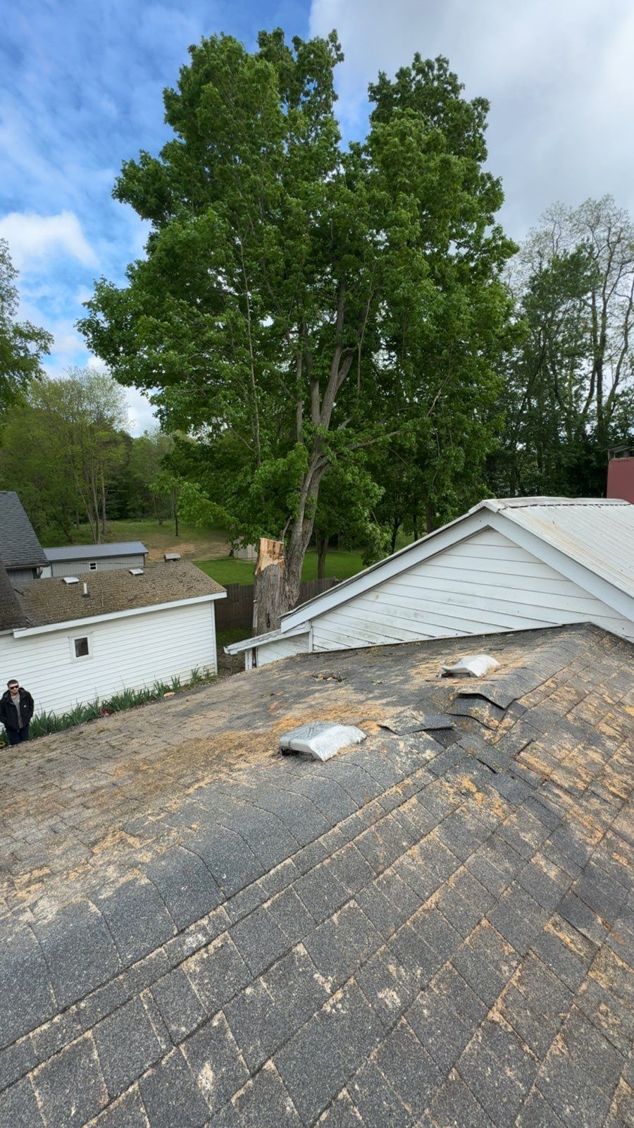  for Branching Out Tree Service in Hastings, MI